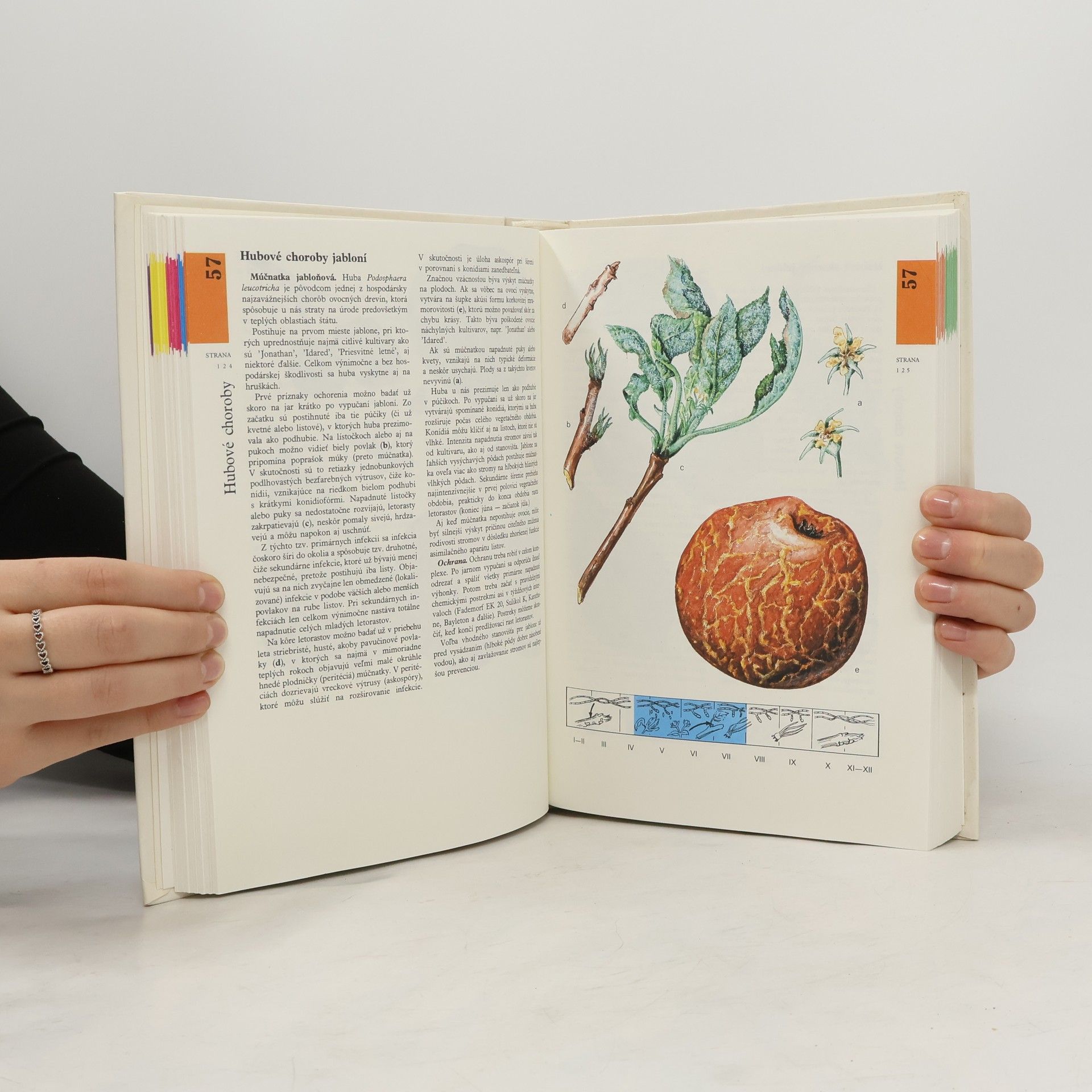Gašpar Vanek Atlas chorôb a škodcov ovocných drevín a viniča