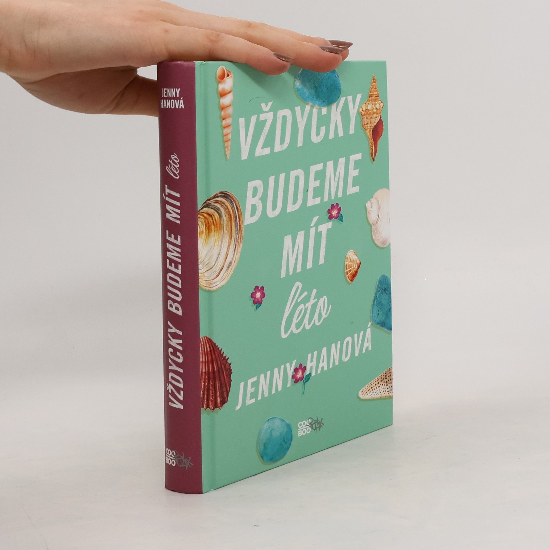Jenny Han Vždycky budeme mít léto
