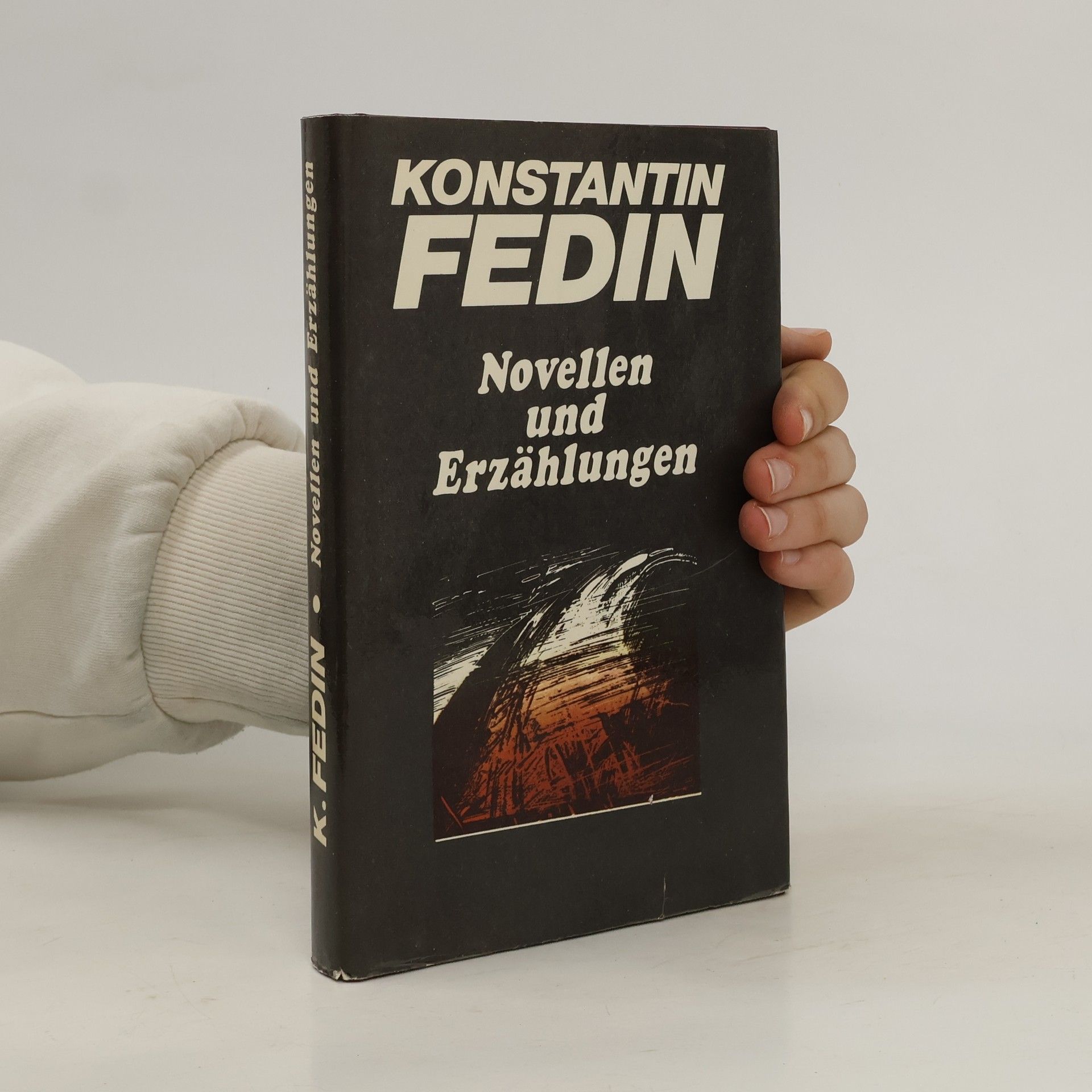 Konstantin Fedin Novellen und Erzählungen