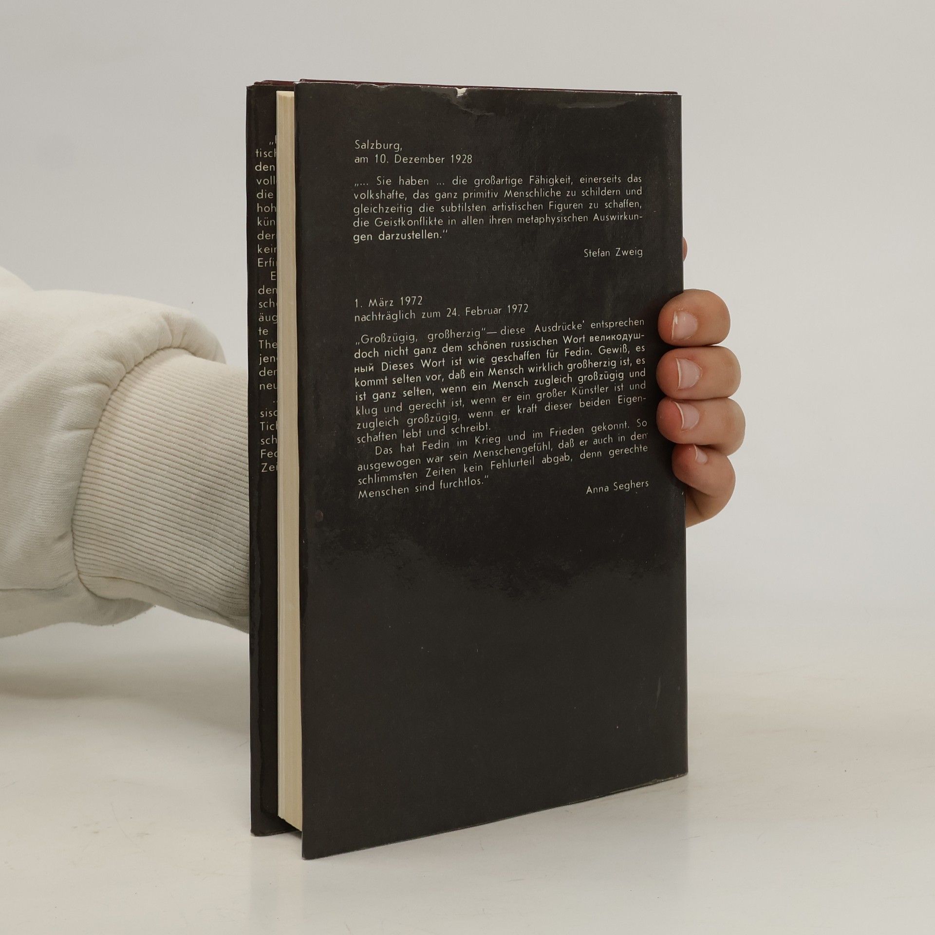 Konstantin Fedin Novellen und Erzählungen