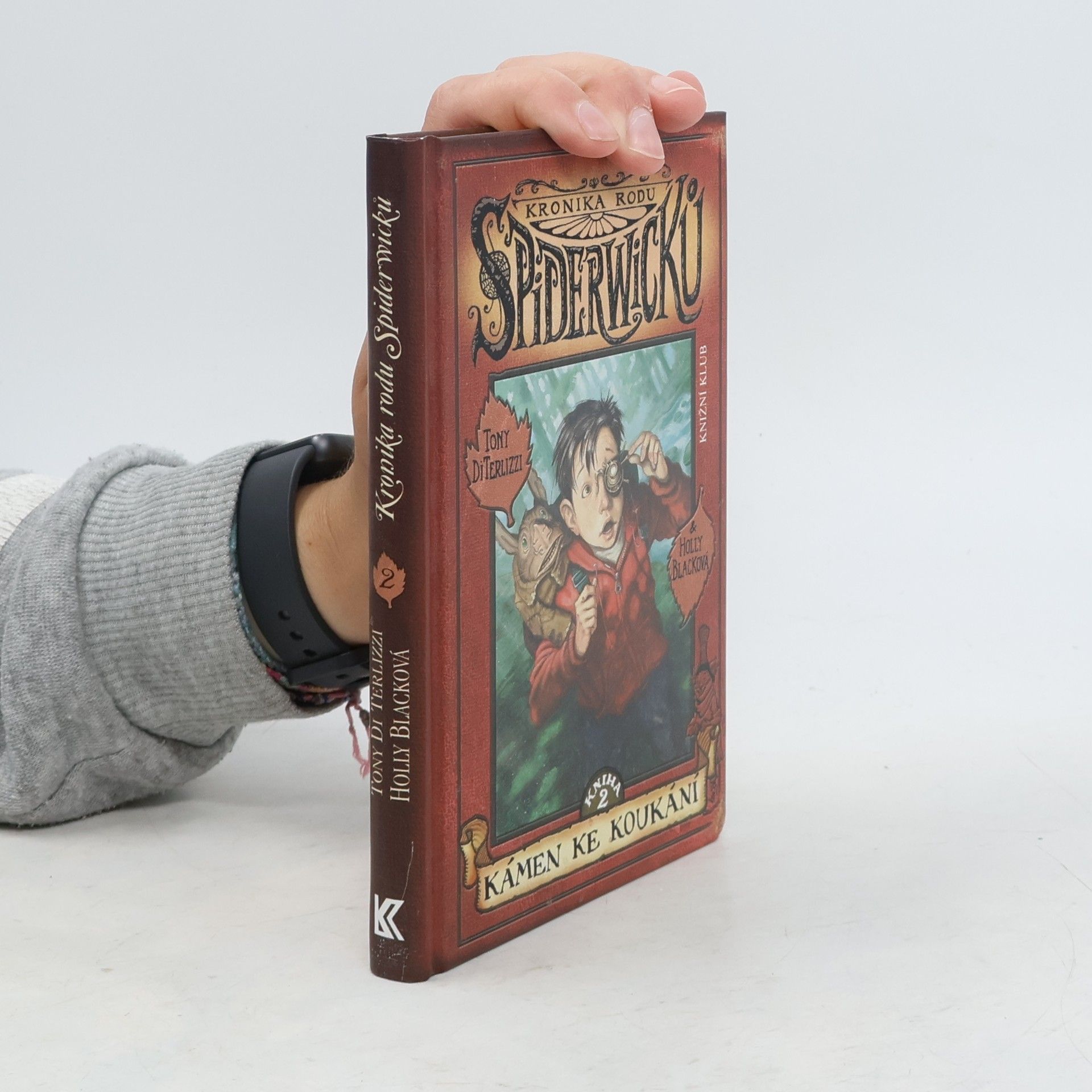 Tony Di Terlizzi Kronika rodu Spiderwicků. Kniha 2, Kámen ke koukání