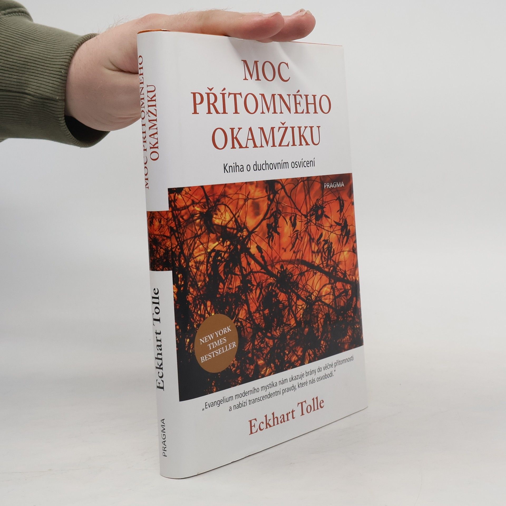 Eckhart Tolle Moc přítomného okamžiku