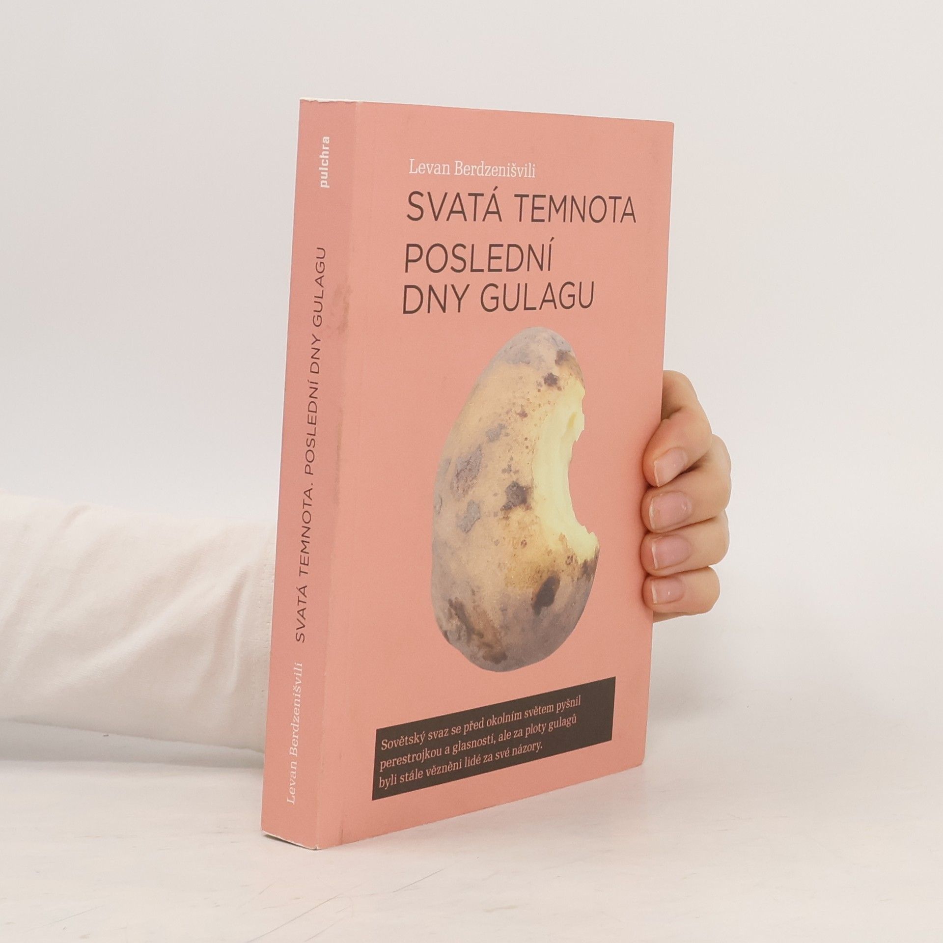 Levan Berdzenišvili Svatá temnota : poslední dny gulagu