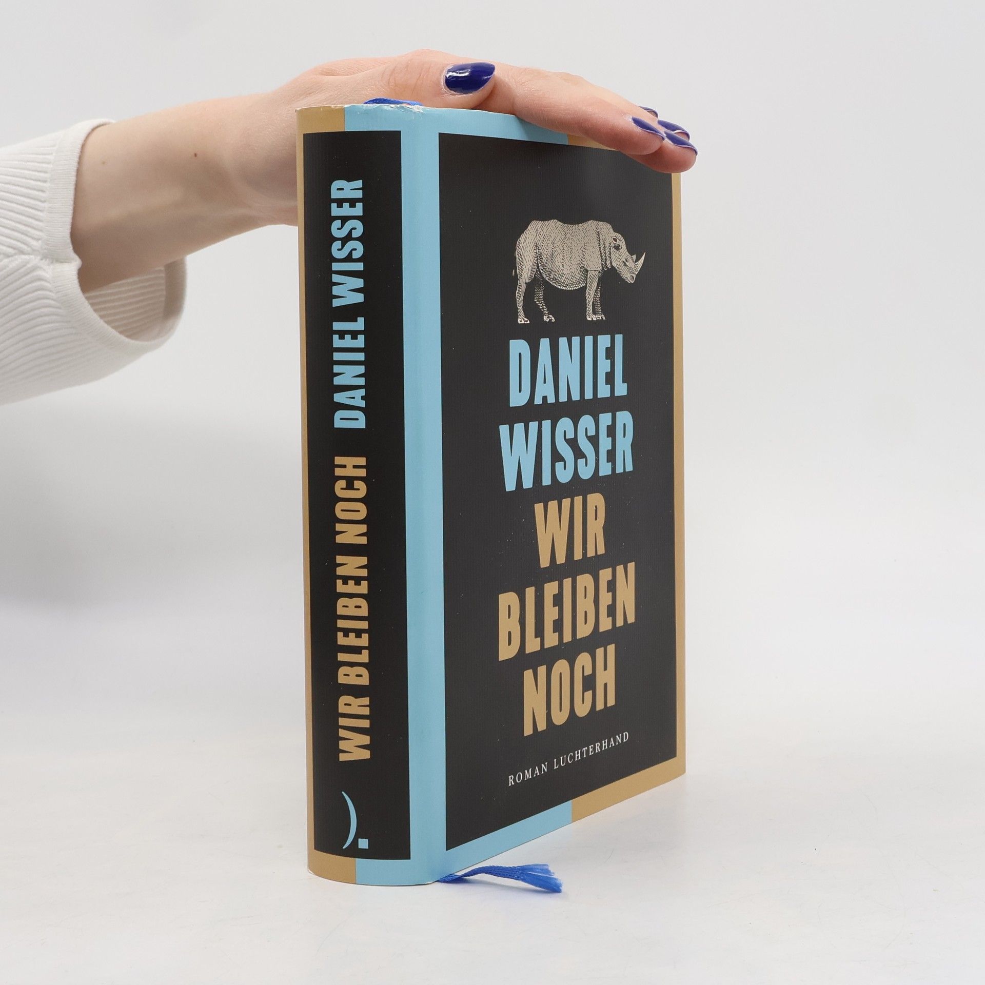 Daniel Wisser Wir bleiben noch