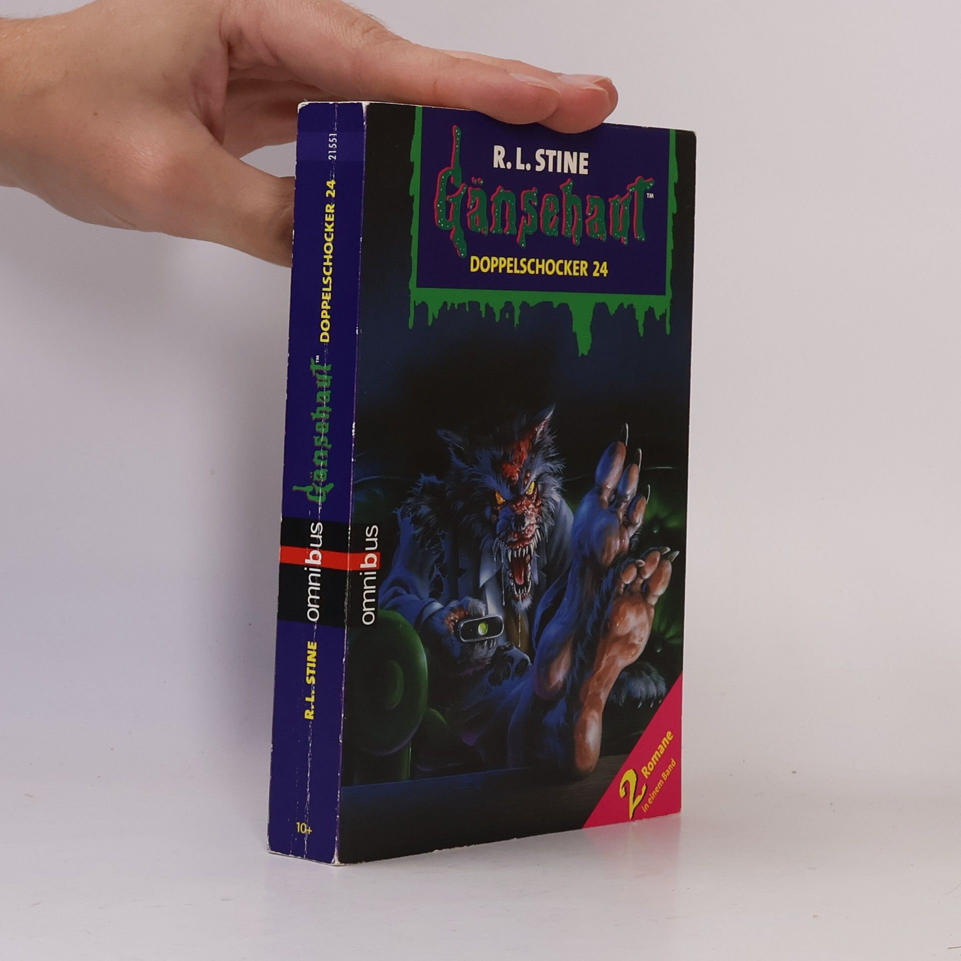 R. L. Stine Gänsehaut - Doppelschocker 24. Ab 10