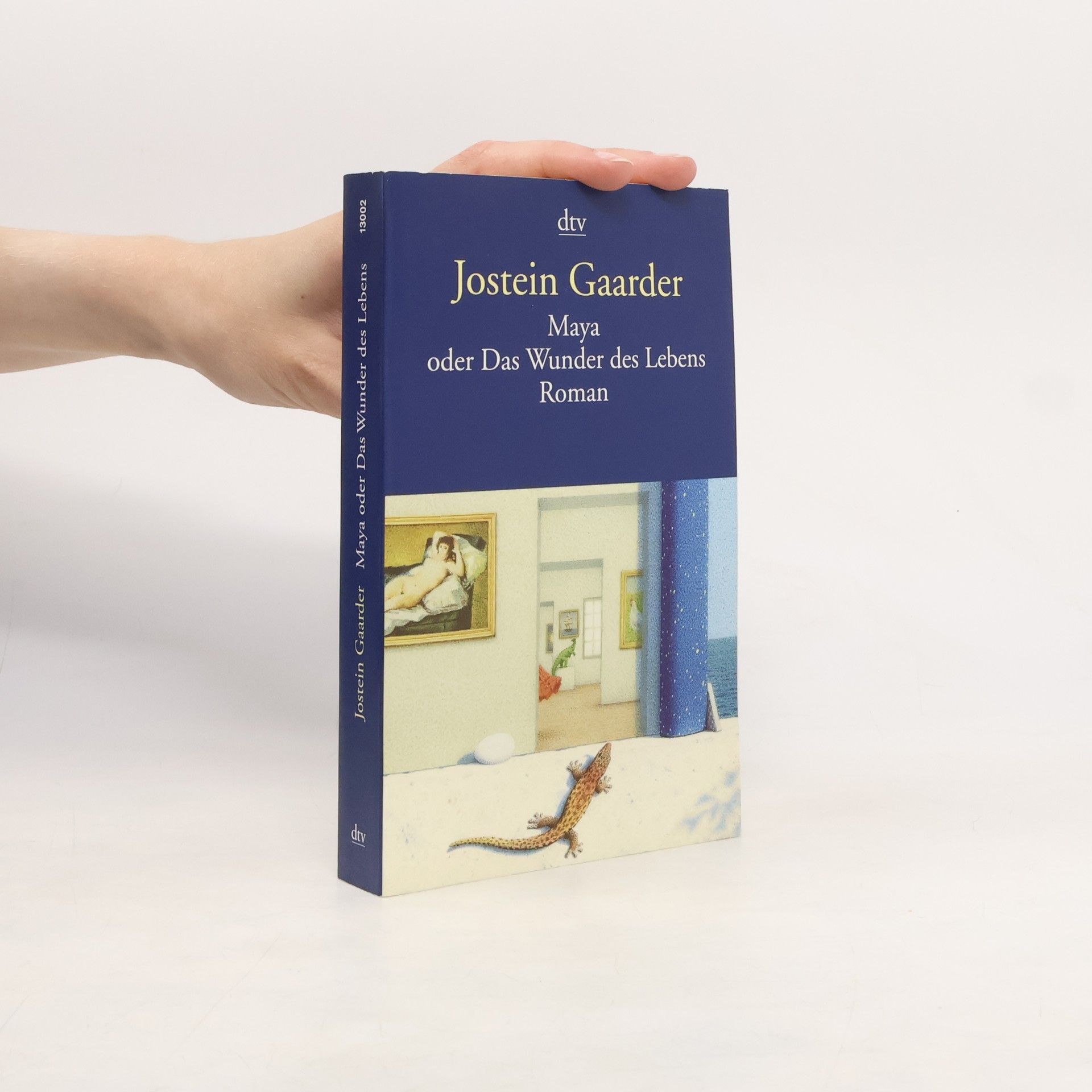Jostein Gaarder Maya oder Das Wunder des Lebens