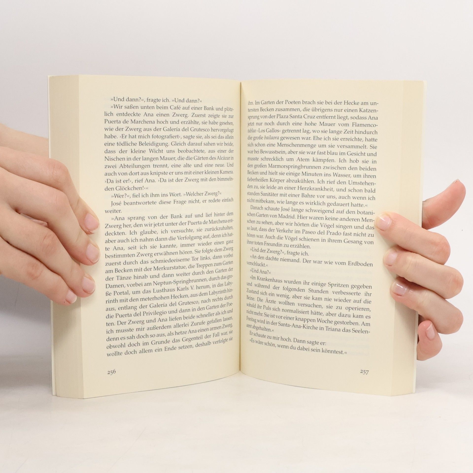 Jostein Gaarder Maya oder Das Wunder des Lebens