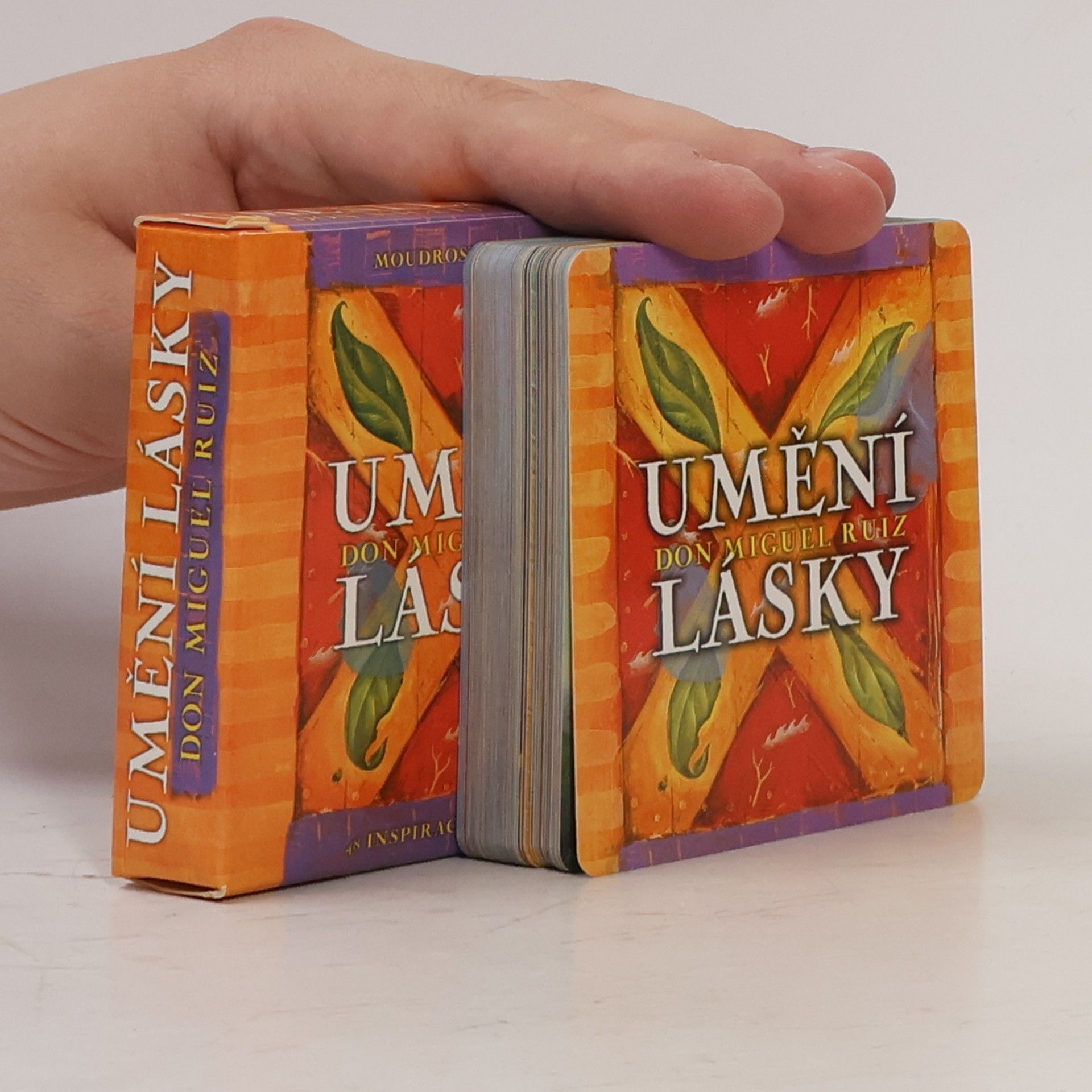 Don Miguel Ruiz Umění lásky