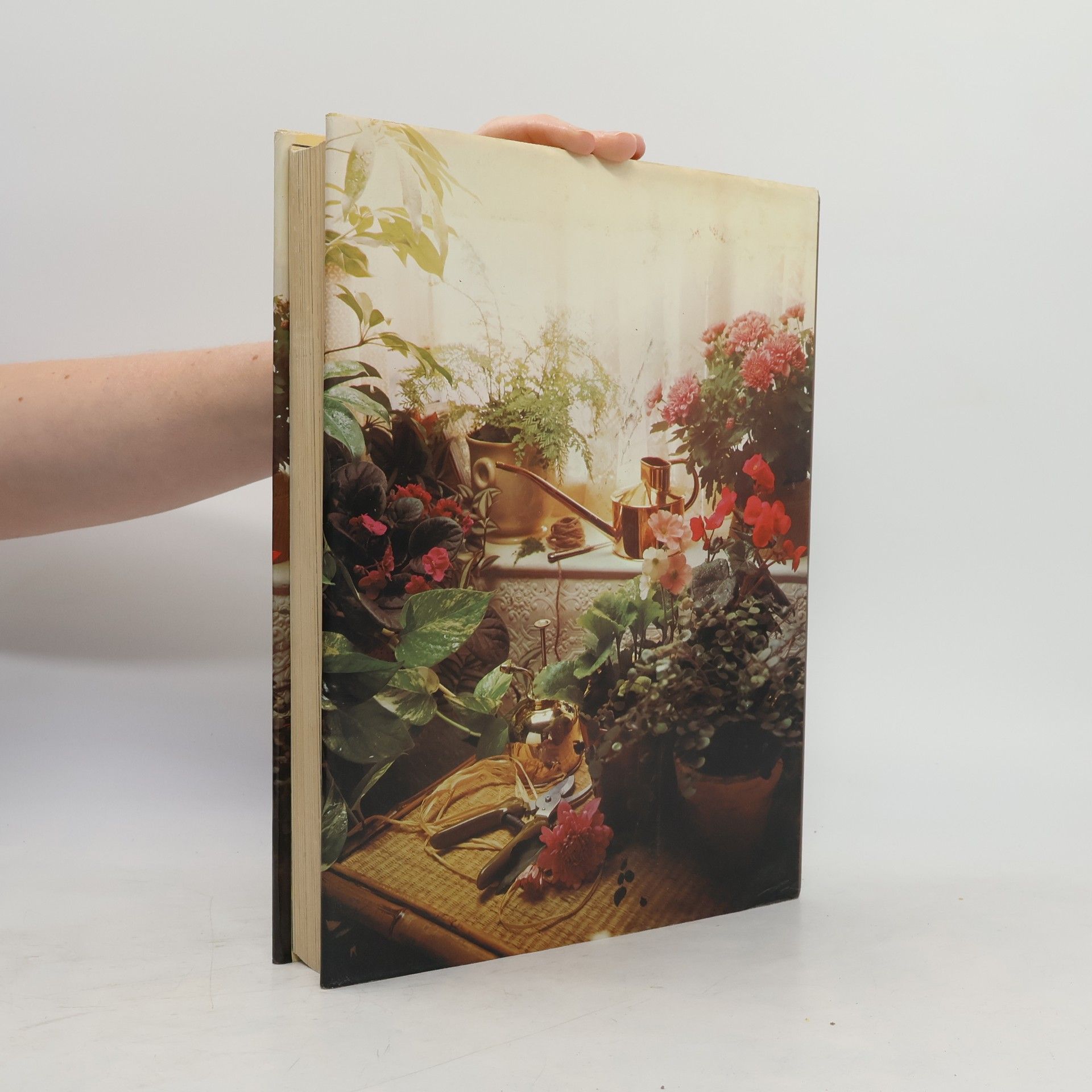 David Squire The Book of Houseplants