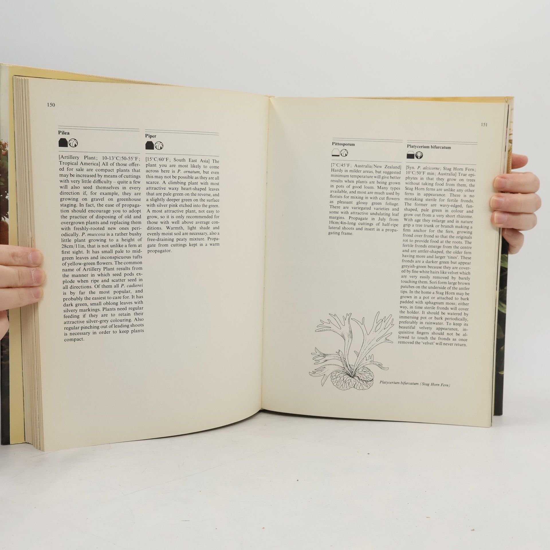David Squire The Book of Houseplants