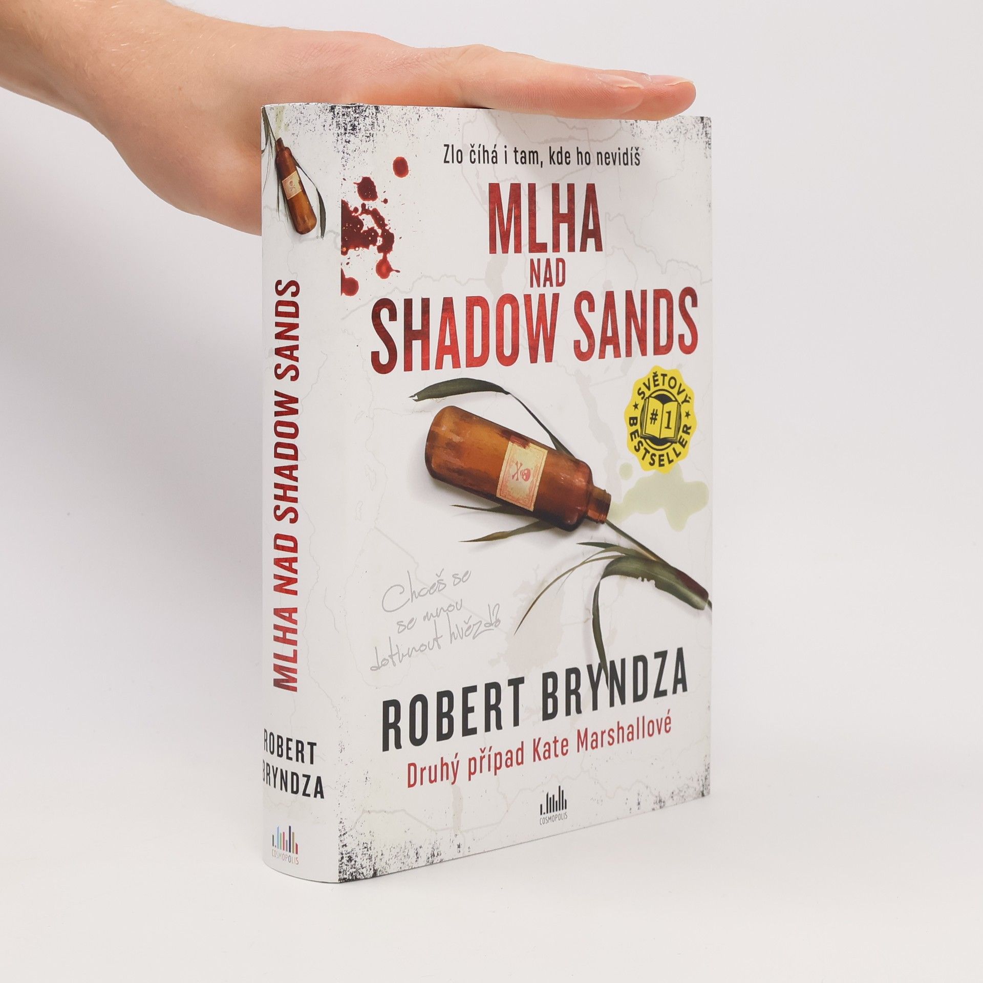 Robert Bryndza Mlha nad Shadow Sands