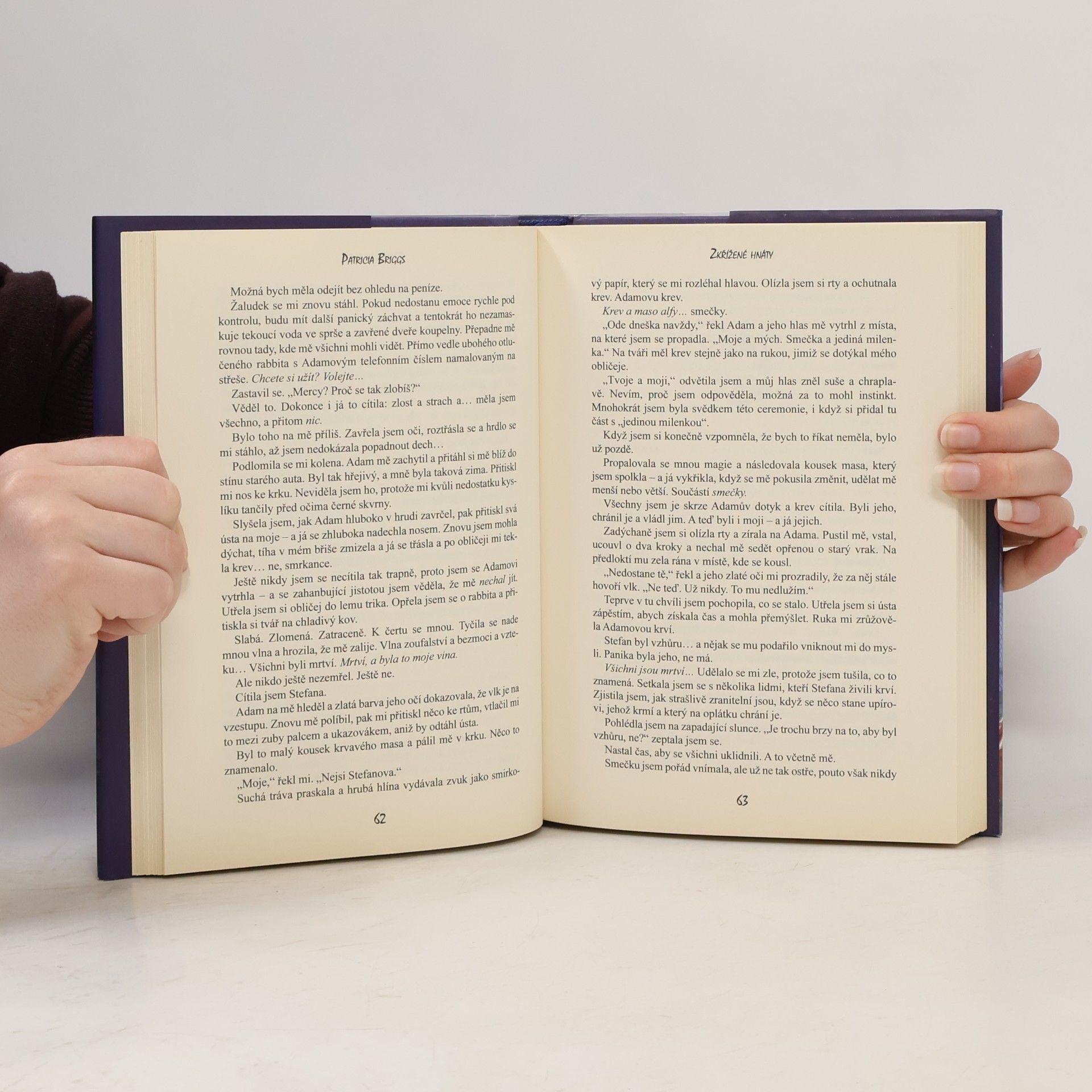 Patricia Briggs Zkřížené hnáty