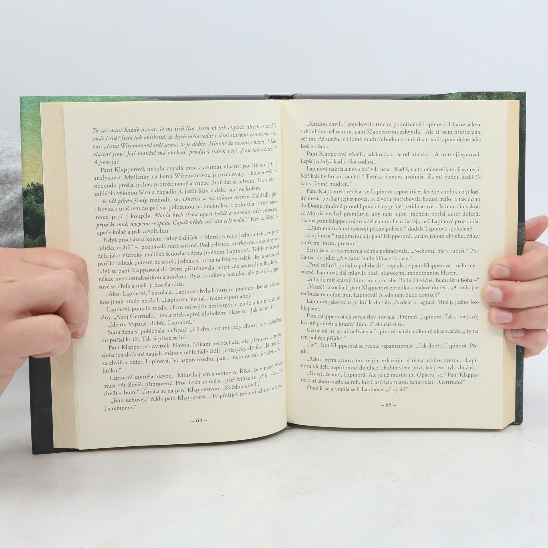 Peter S. Beagle Poklidné a tiché místo