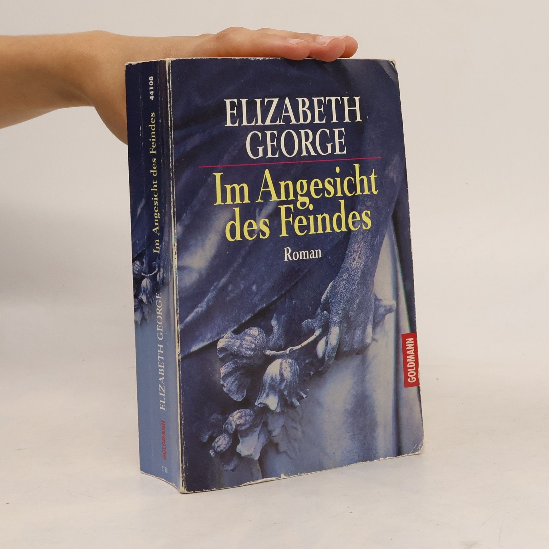 Elizabeth George Im Angesicht des Feindes