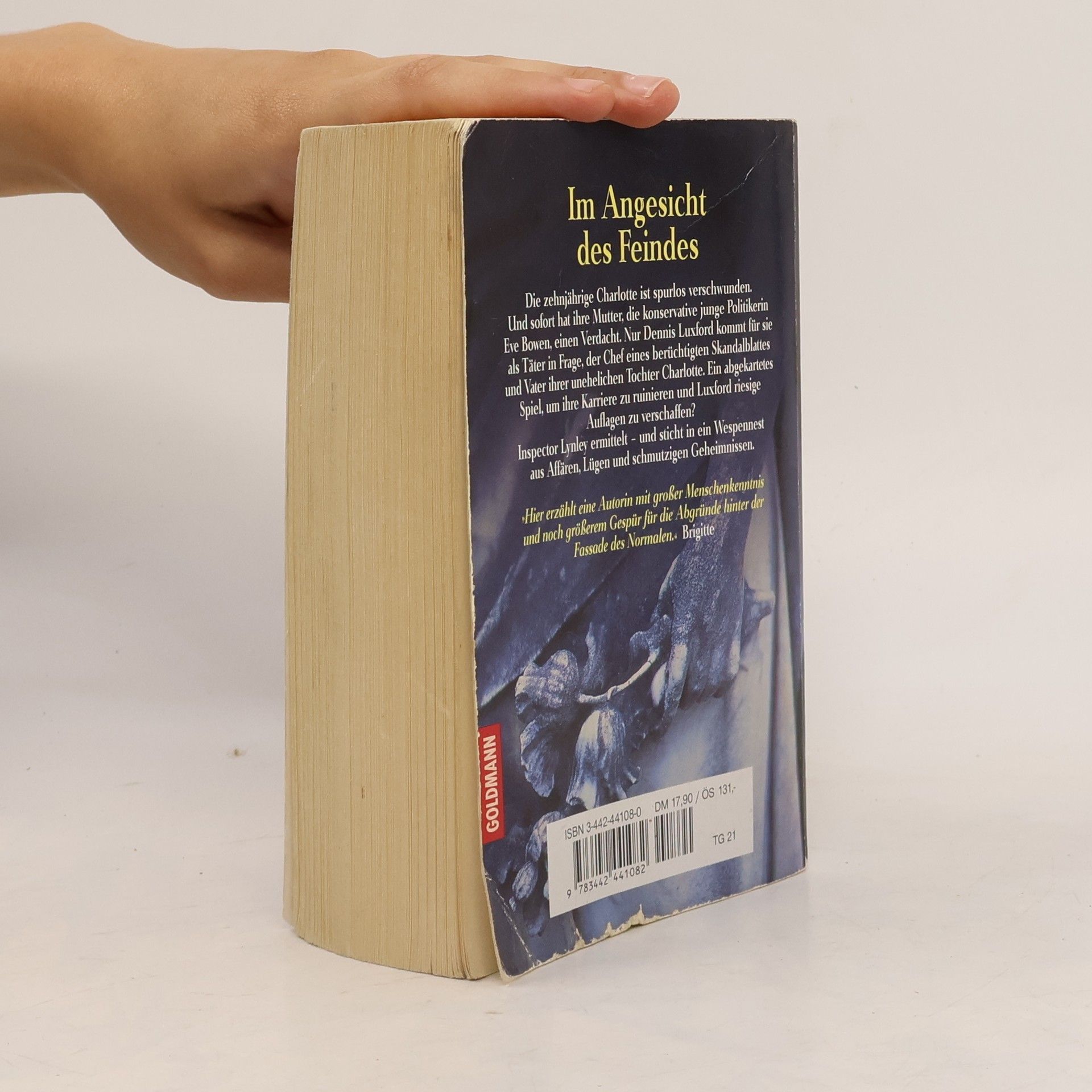 Elizabeth George Im Angesicht des Feindes