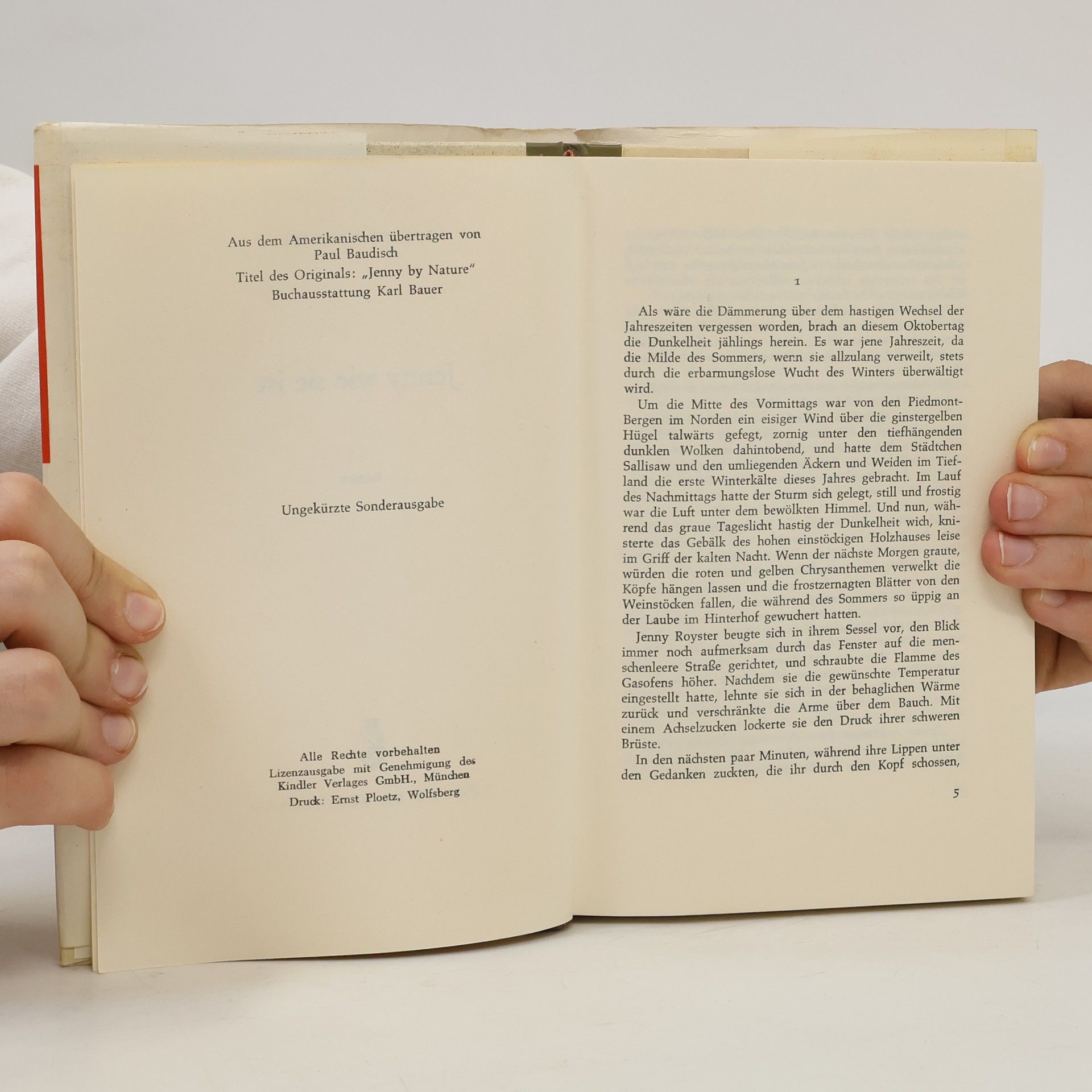 Erskine Caldwell Jenny wie sie ist