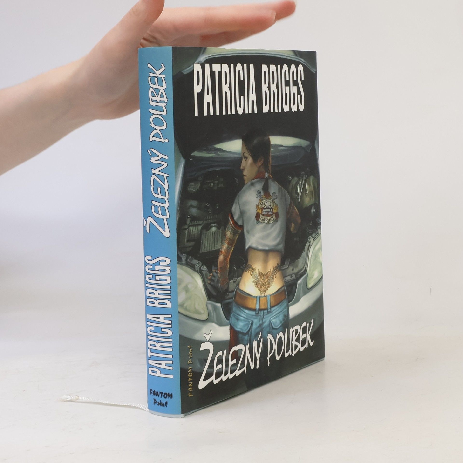 Patricia Briggs Železný polibek