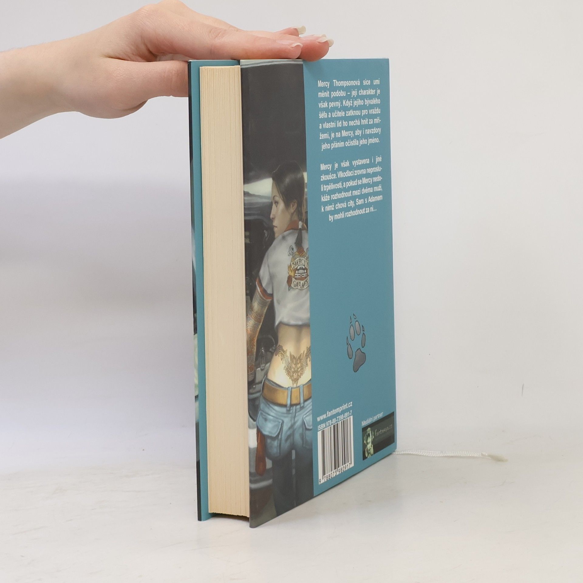 Patricia Briggs Železný polibek