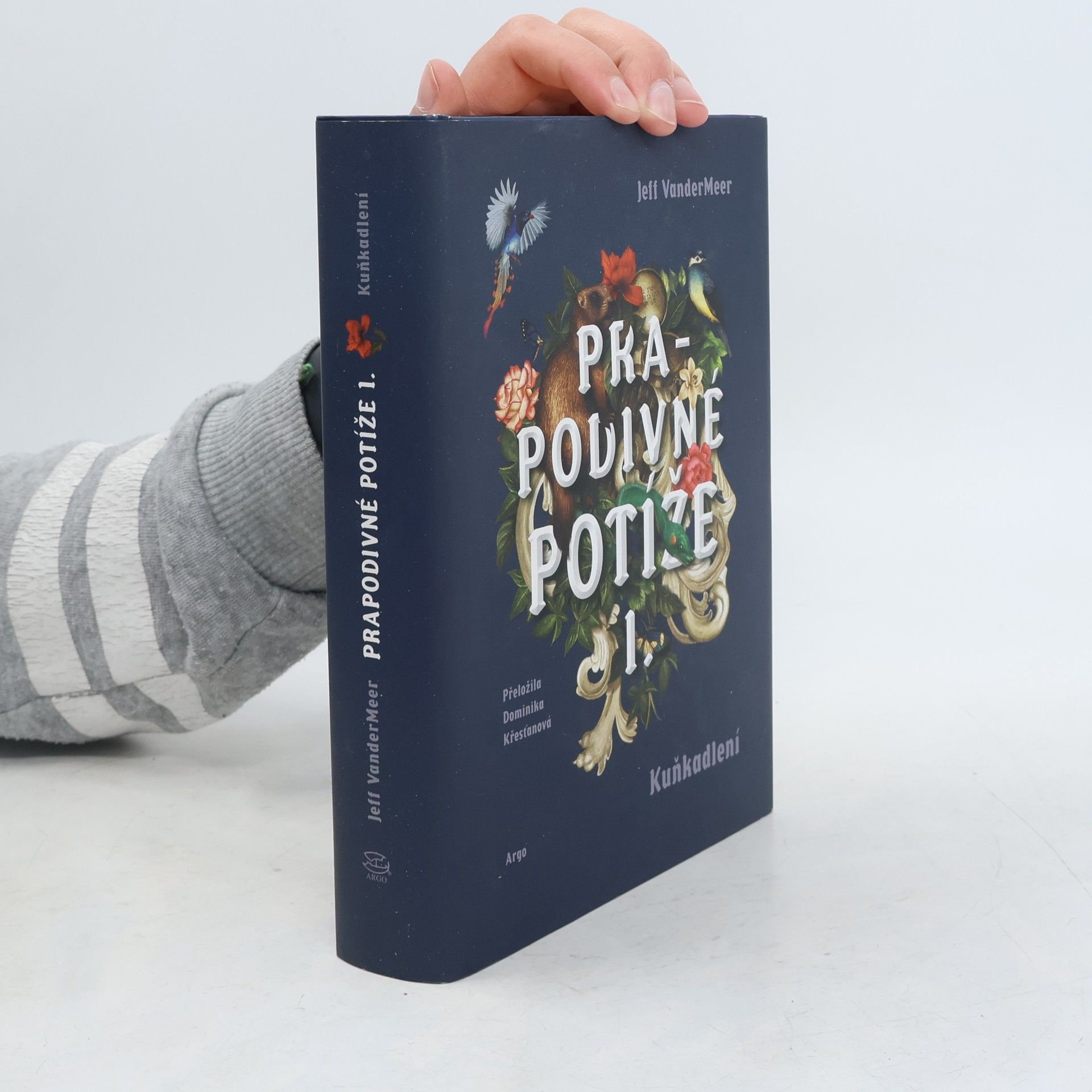 Jeff VanderMeer Prapodivné potíže: Útrapy a ústrky Jonathana Lambsheada