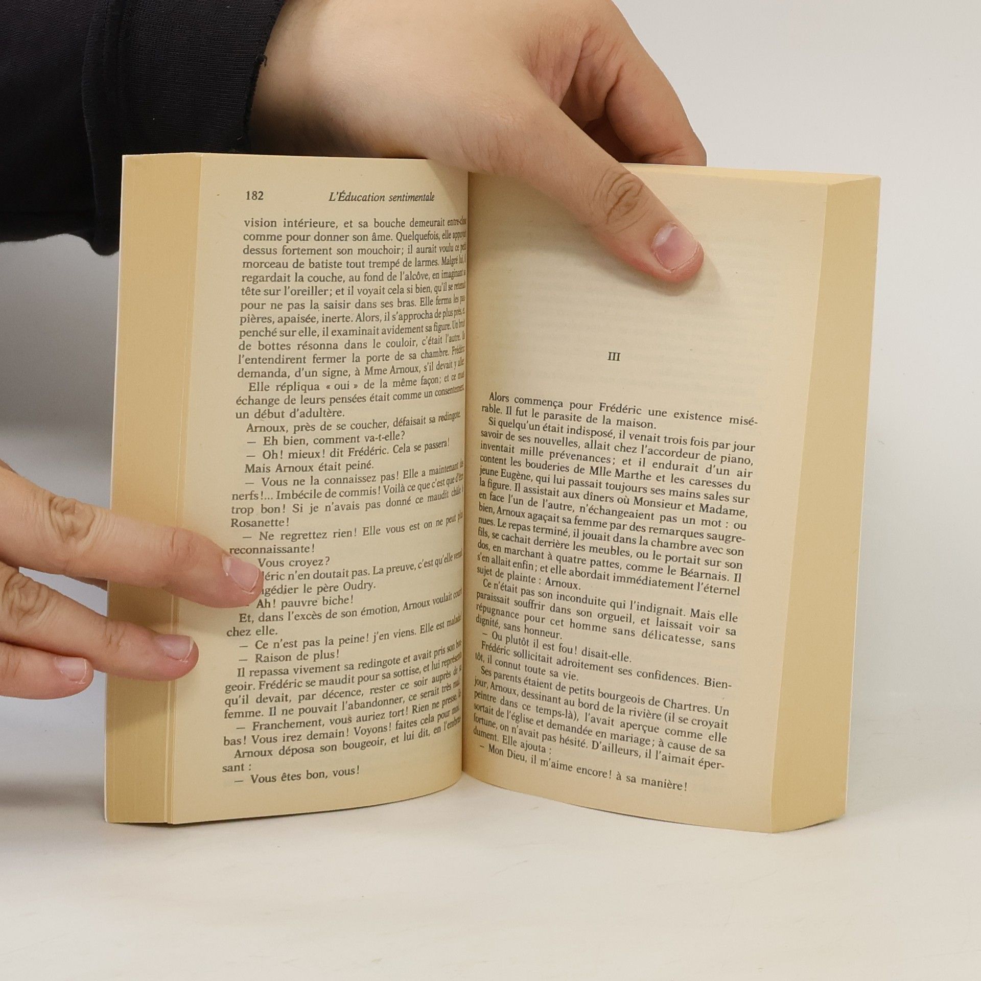 Gustave Flaubert L'education sentimentale