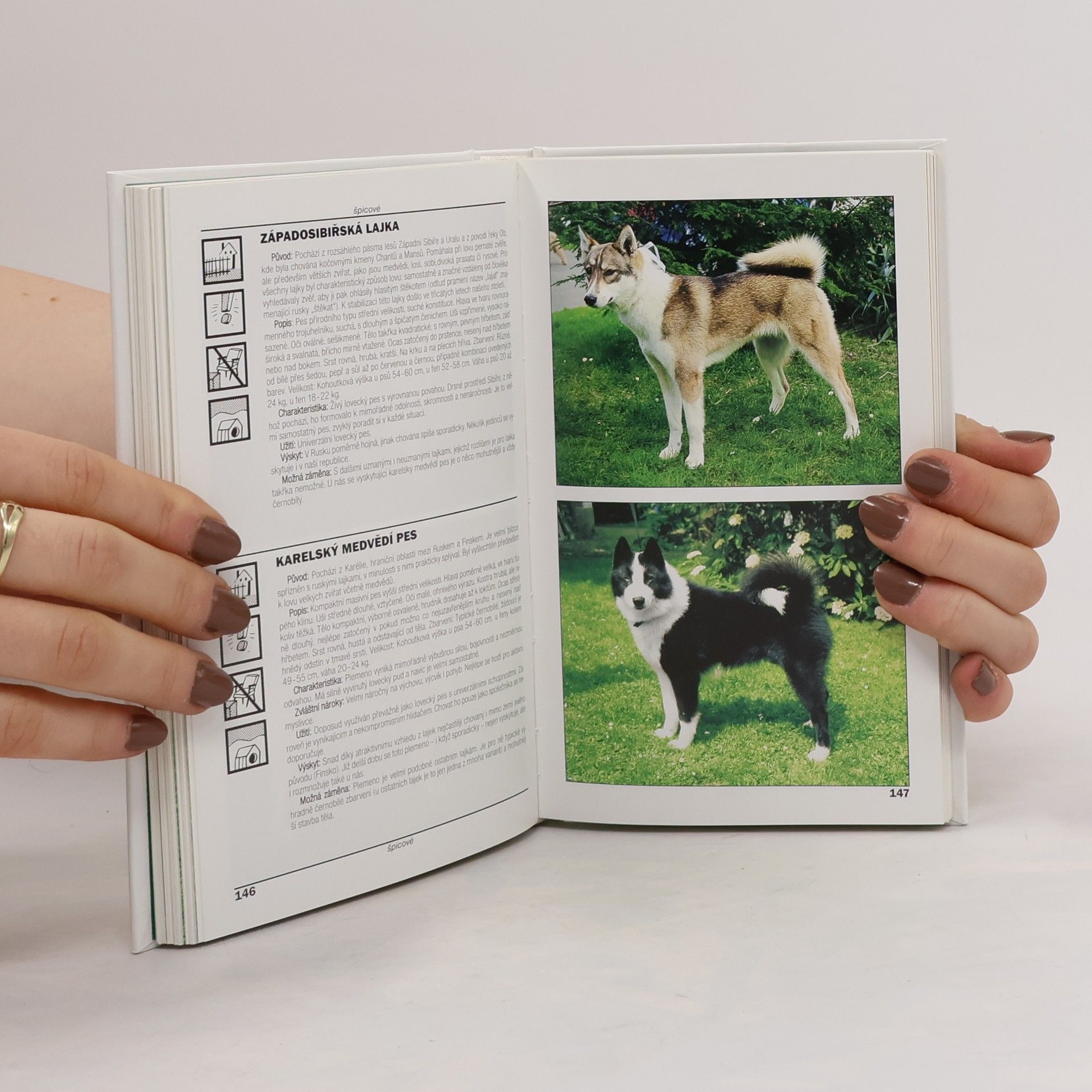 Lea Smrčková Kapesní atlas psů