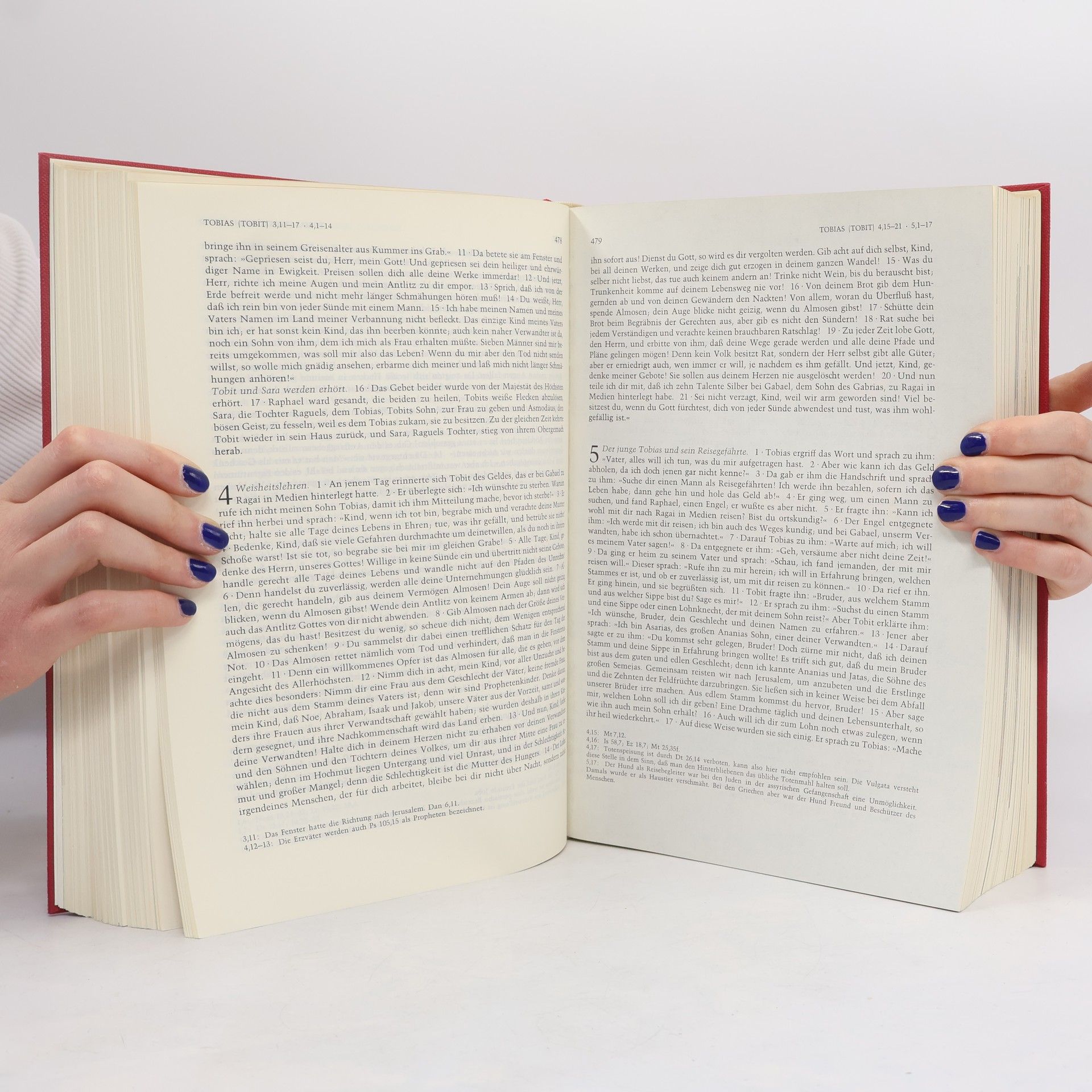 Various authors Die Bibel
