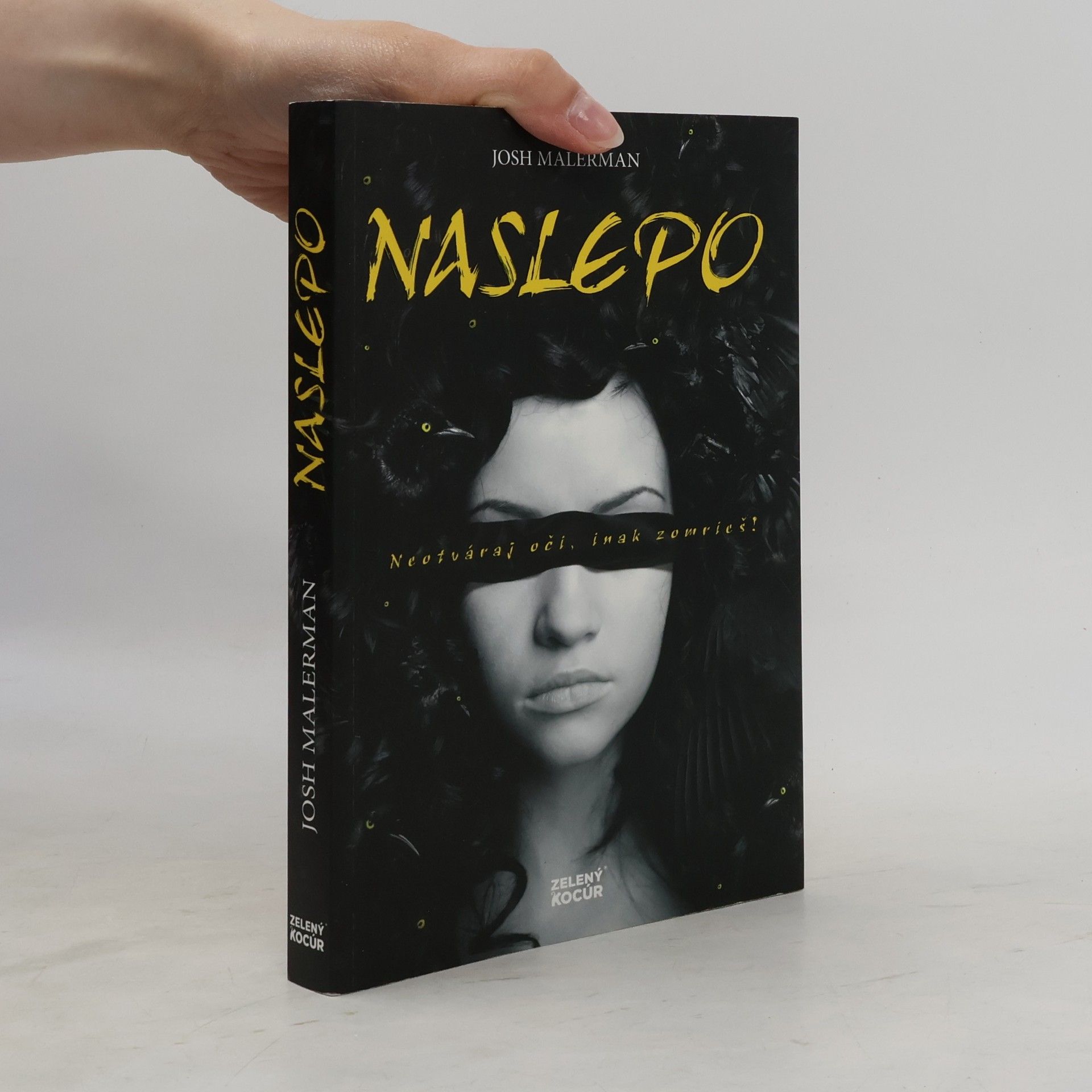 Josh Malerman Naslepo