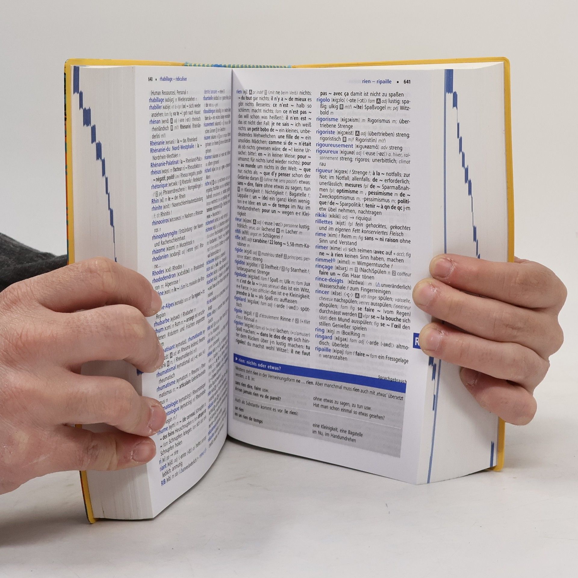 Fabienne Schreitmüller Großes Schulwörterbuch Plus: Französisch