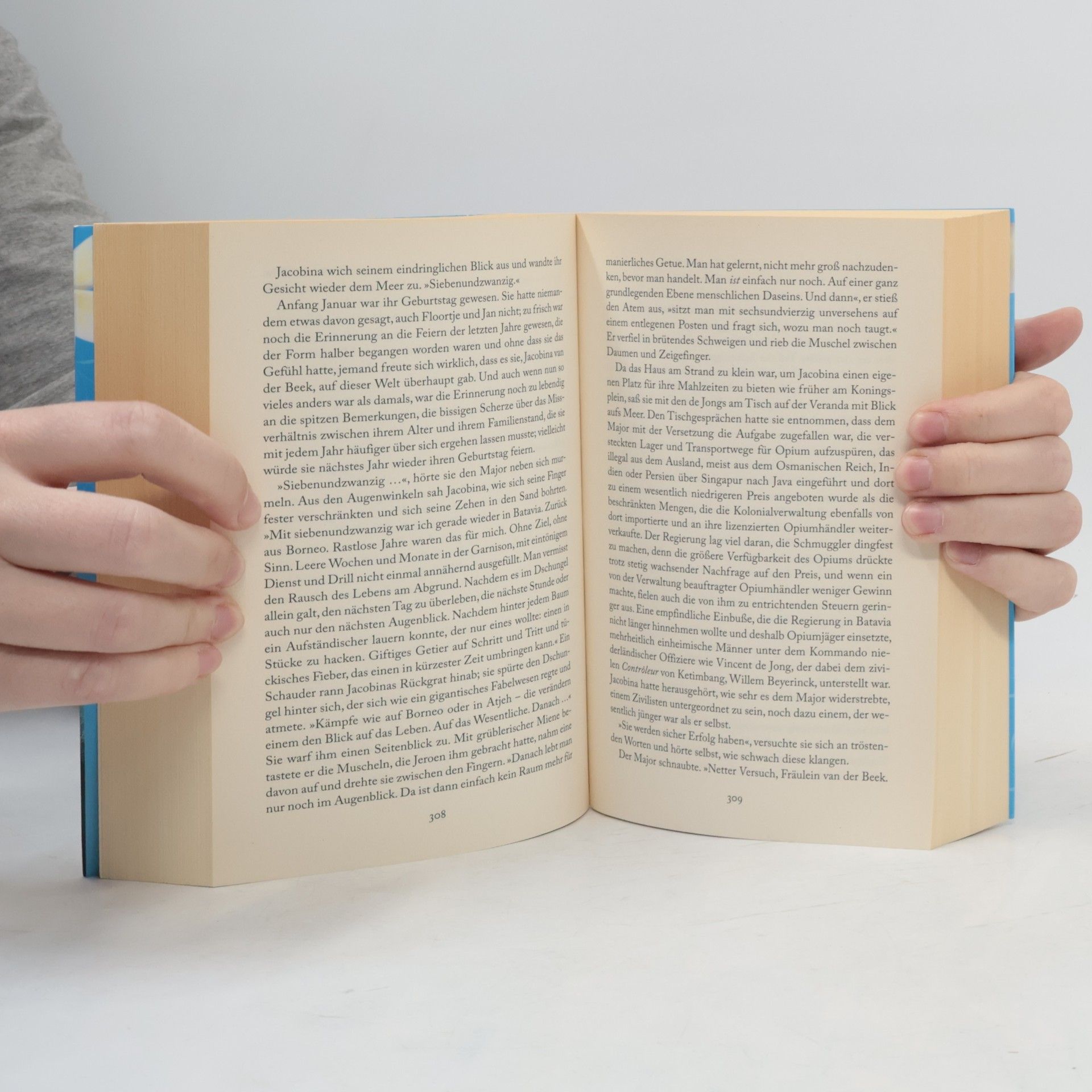 Nicole C. Vosseler Das Herz der Feuerinsel