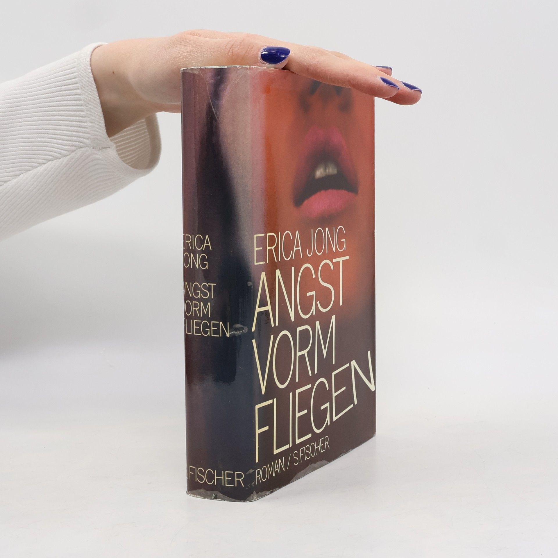Erica Jong Angst vorm Fliegen