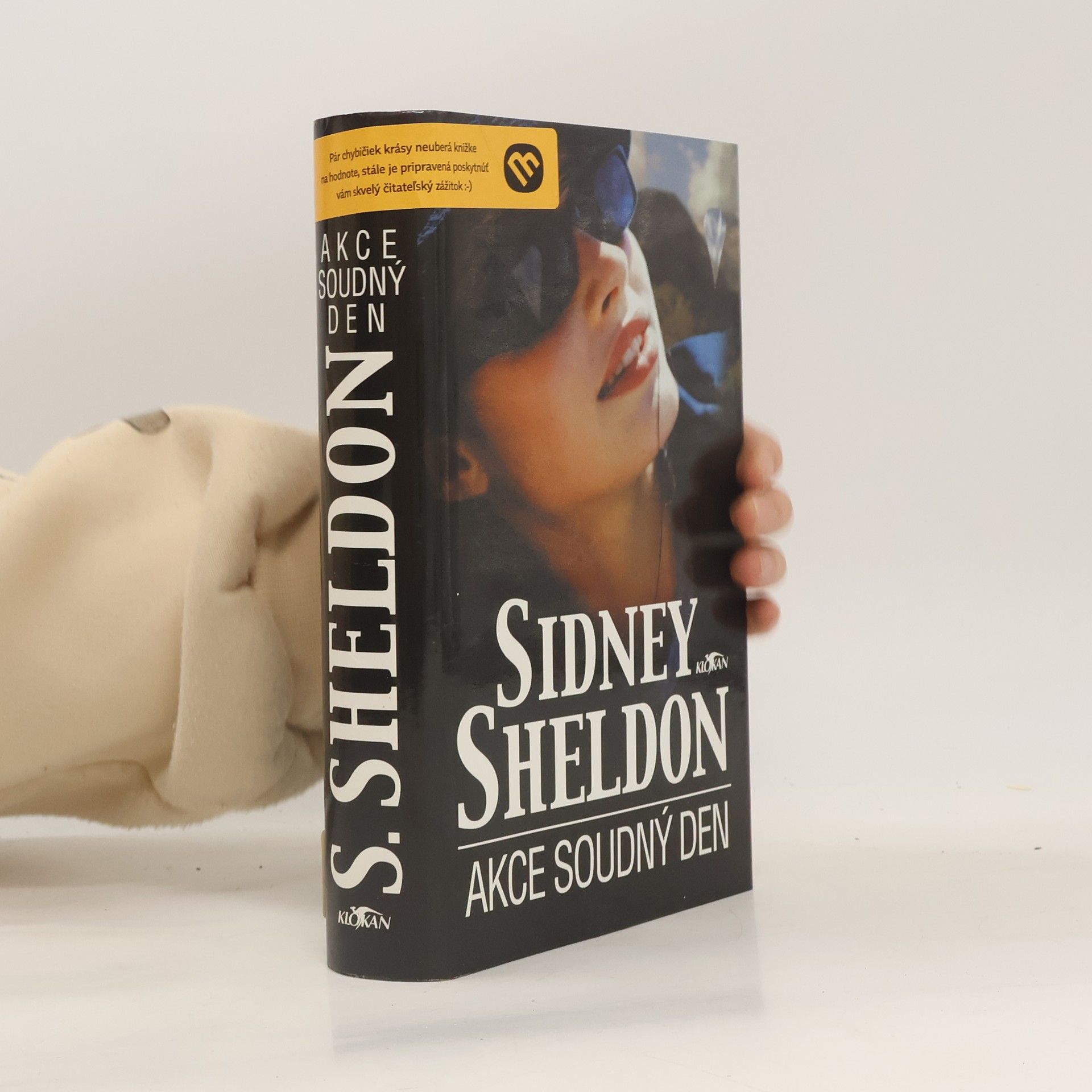 Sidney Sheldon Akce Soudný den