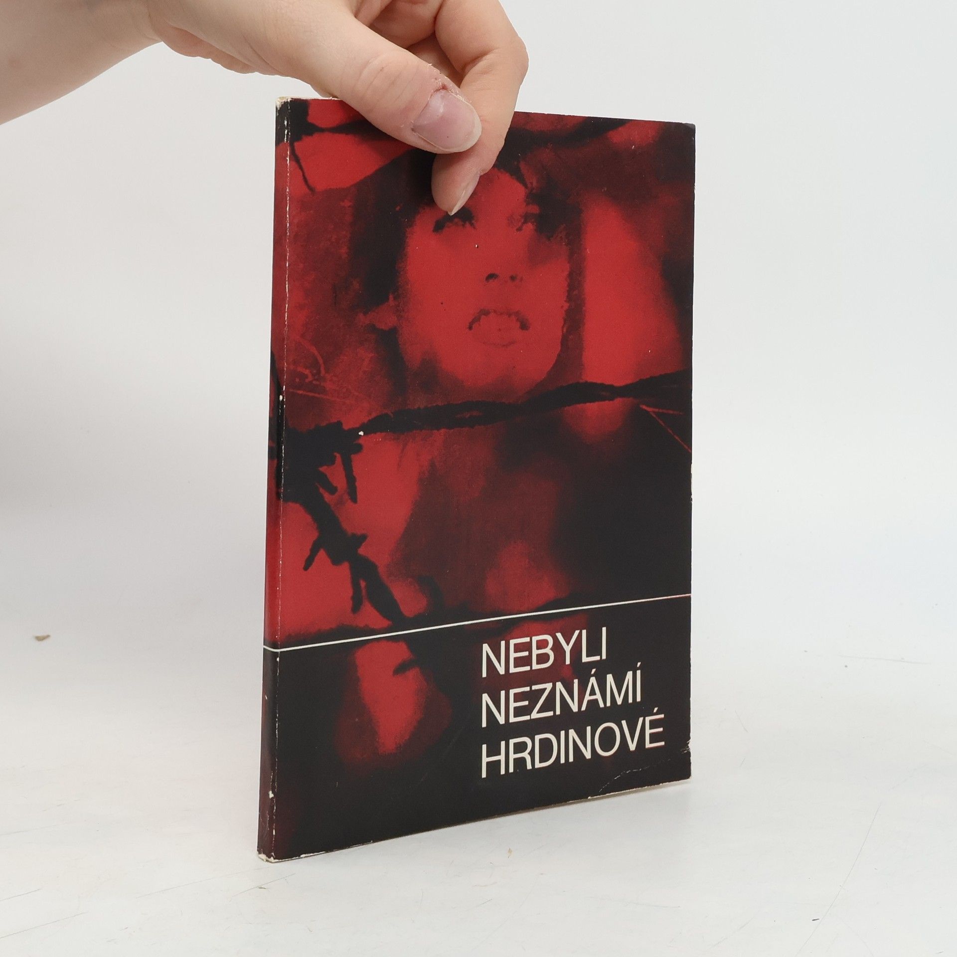 Kolektív autorov Nebyli neznámí hrdinové