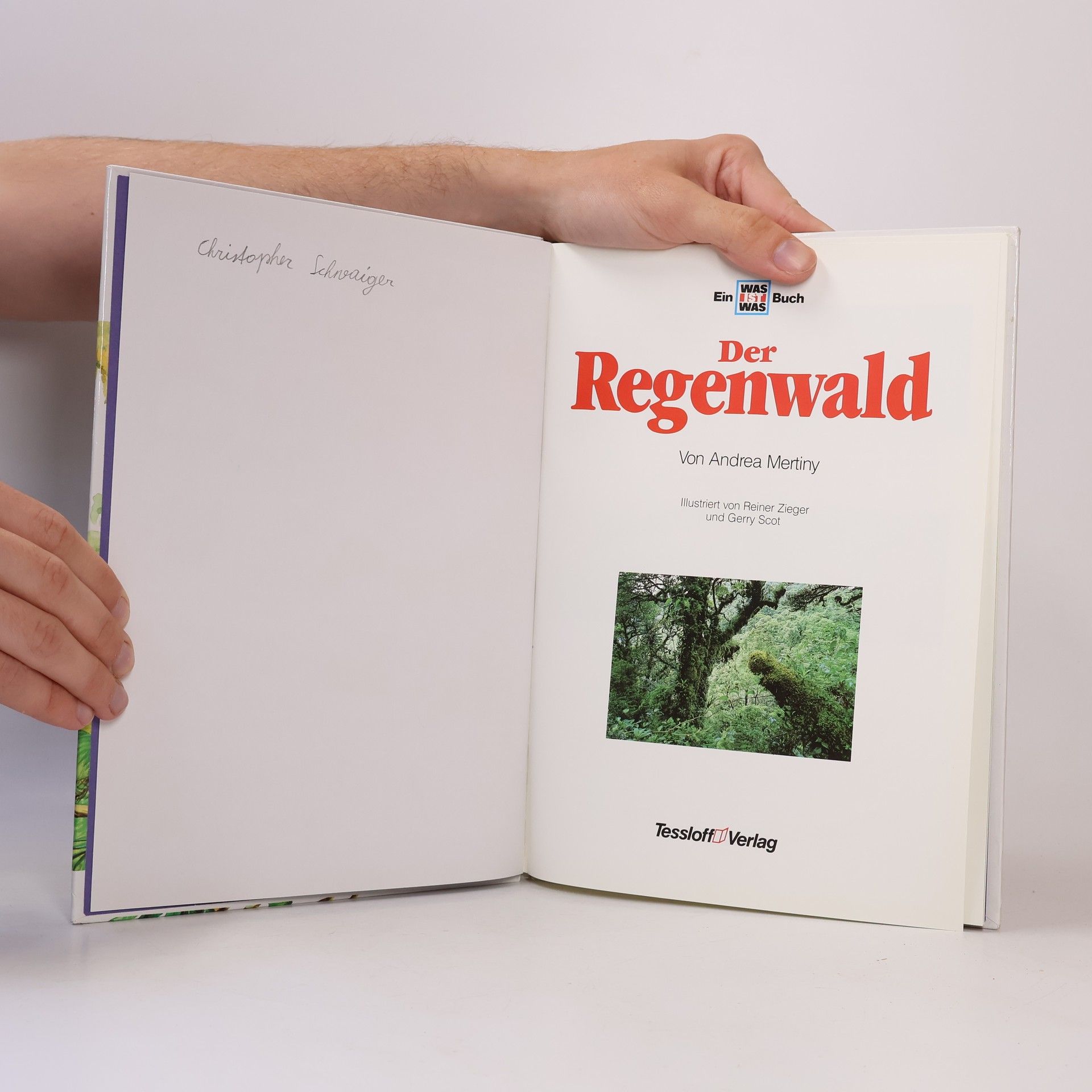 Andrea Mertiny Der Regenwald