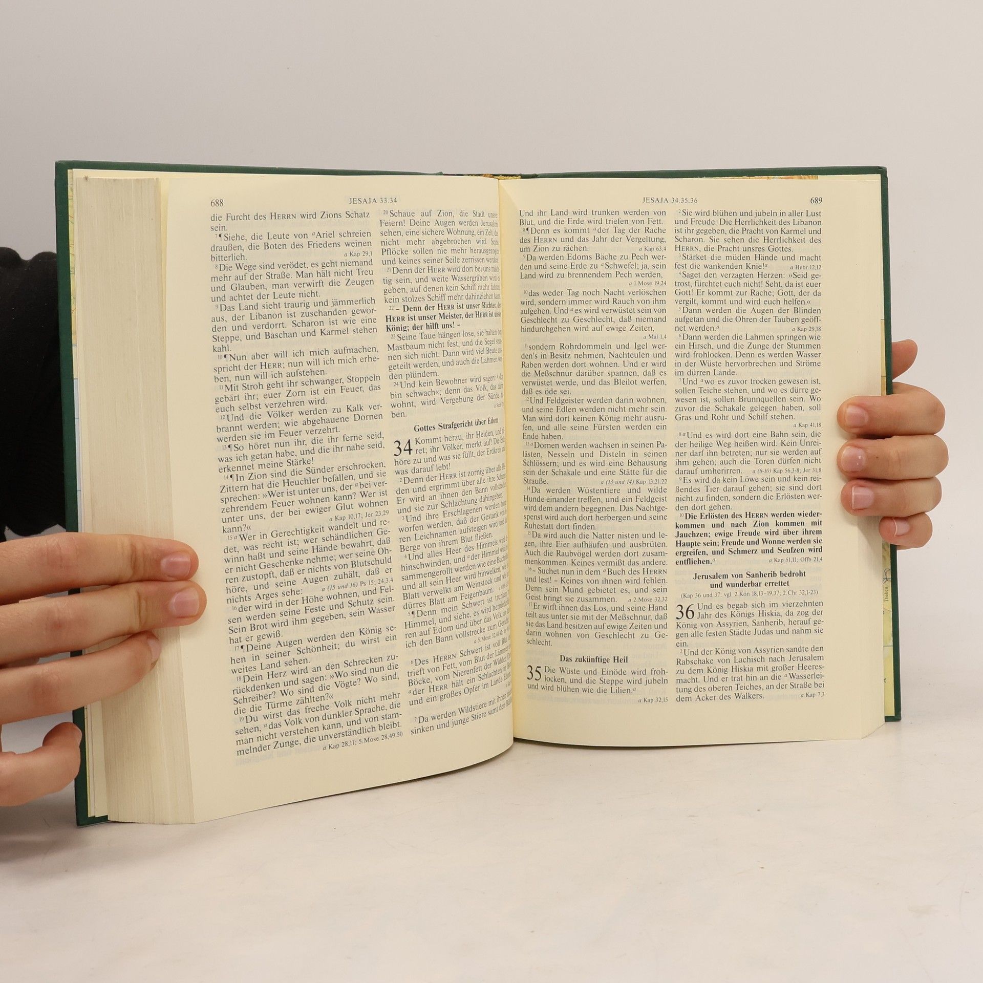 Martin Luther Die Bibel