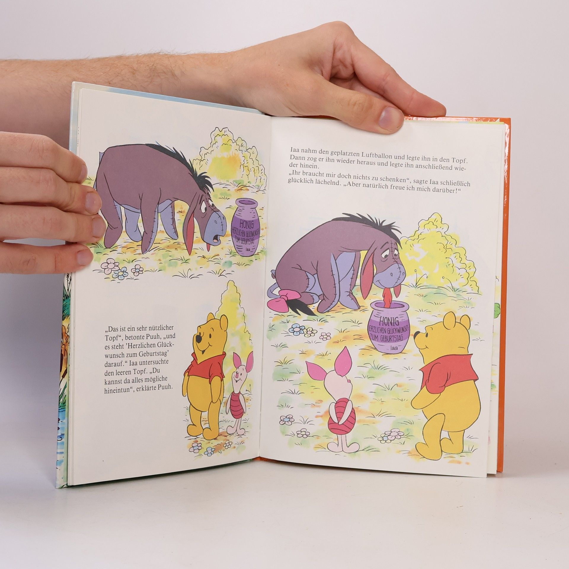 Autorenkollektiv Winnie Puuh und Iaa