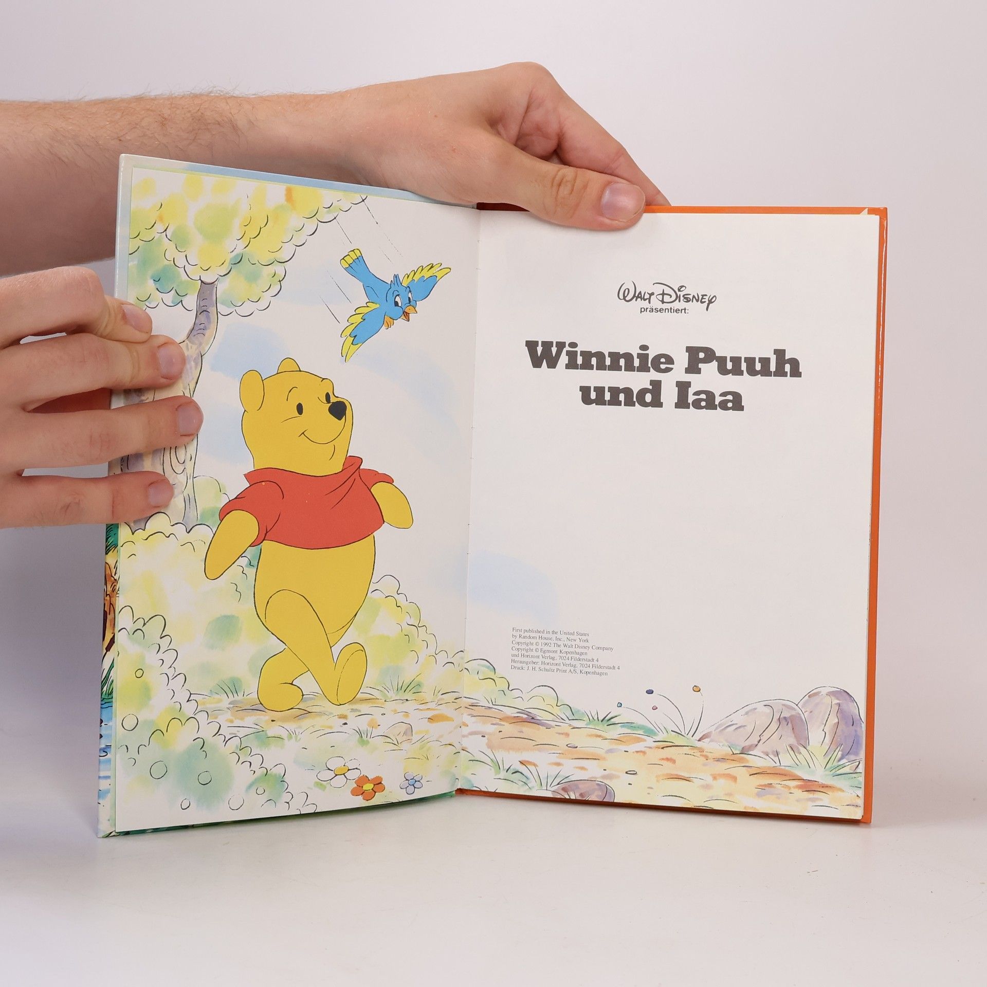 Autorenkollektiv Winnie Puuh und Iaa