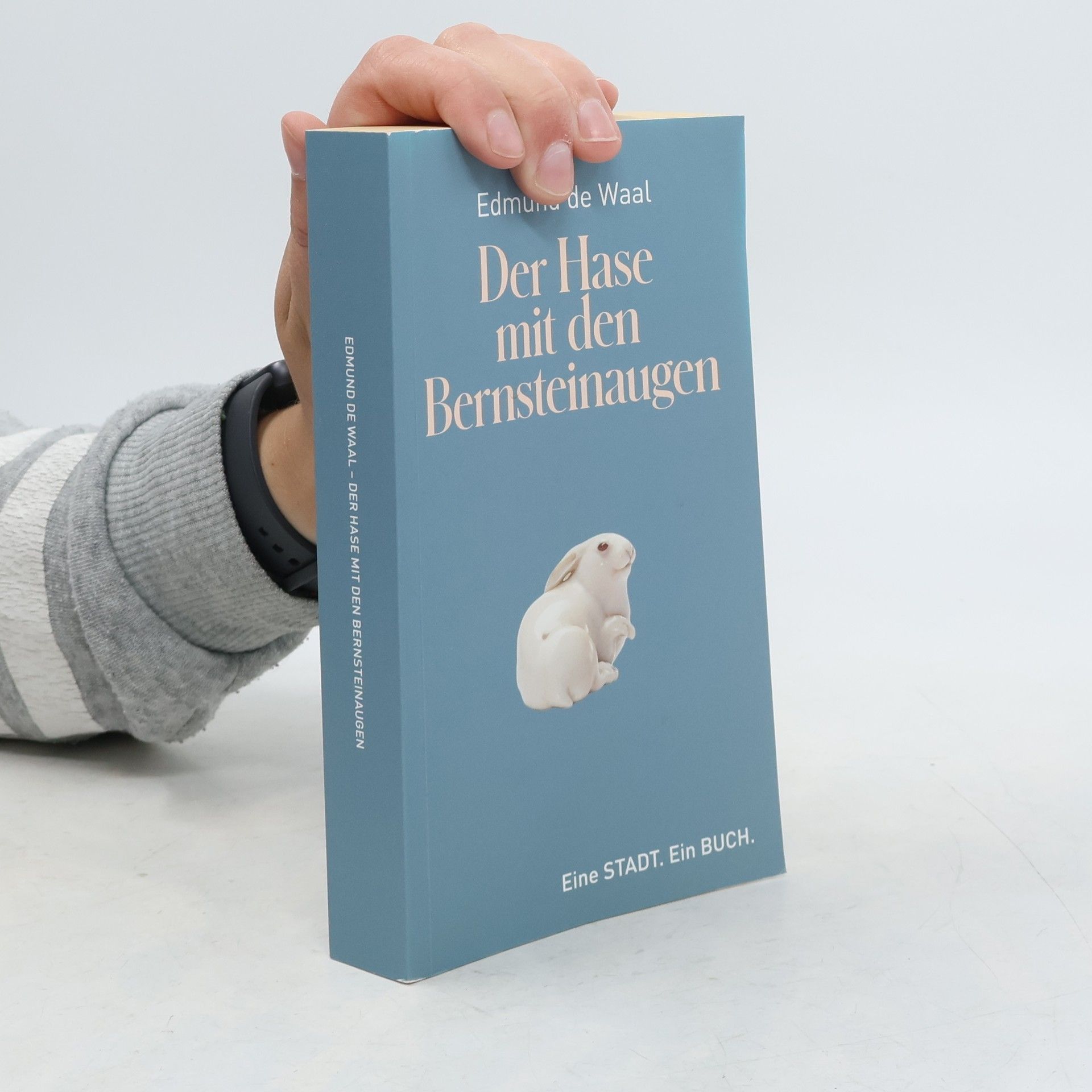 Edmund De Waal Der Hase mit den Bernsteinaugen