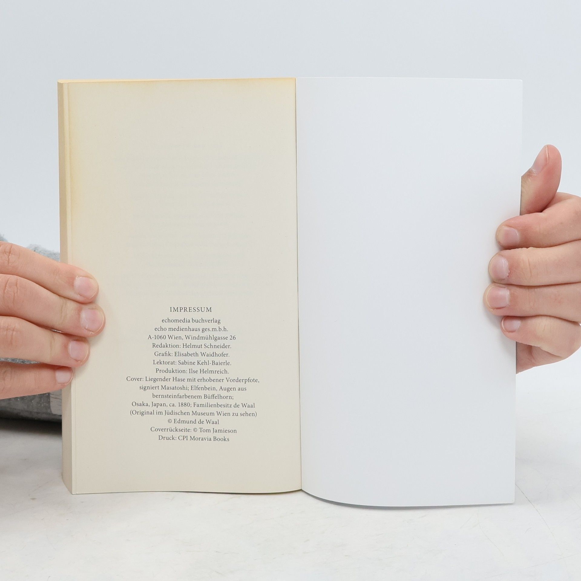 Edmund De Waal Der Hase mit den Bernsteinaugen