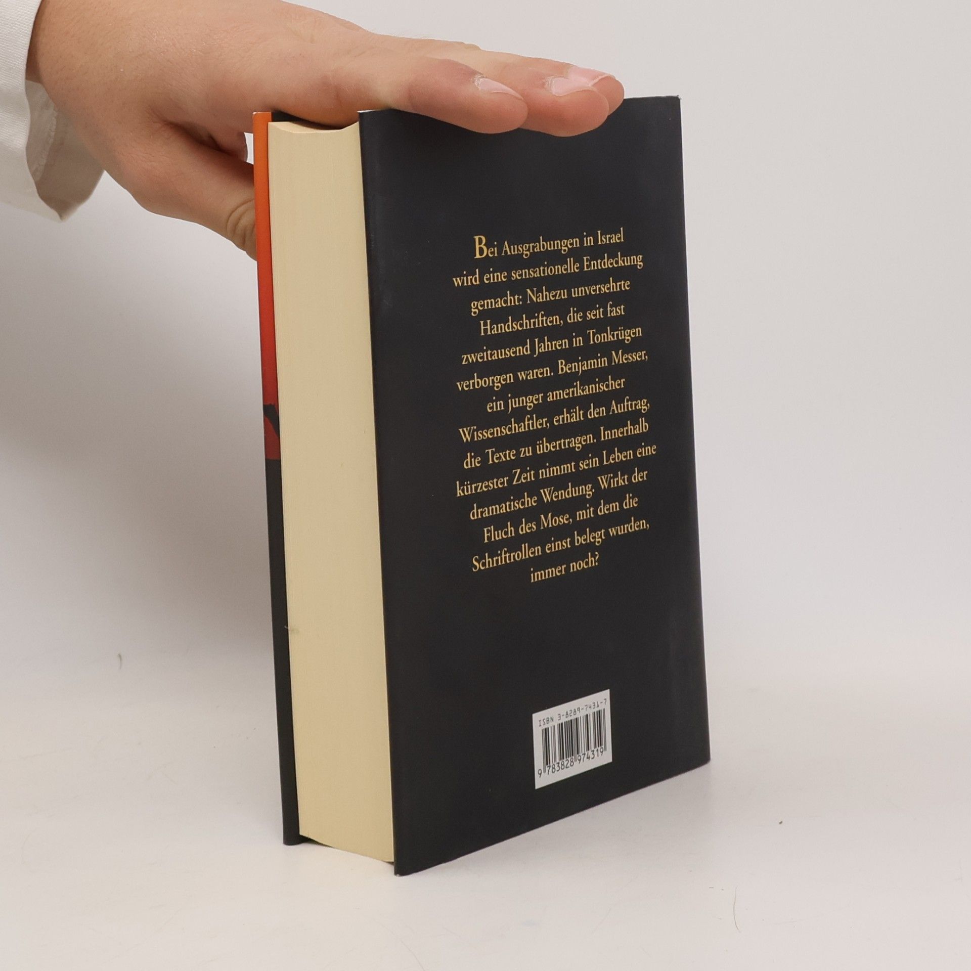 Barbara Wood Der Fluch der Schriftrollen