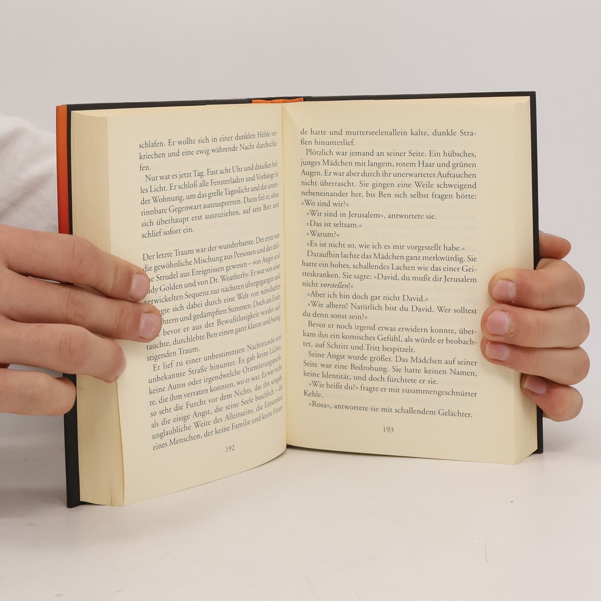 Barbara Wood Der Fluch der Schriftrollen