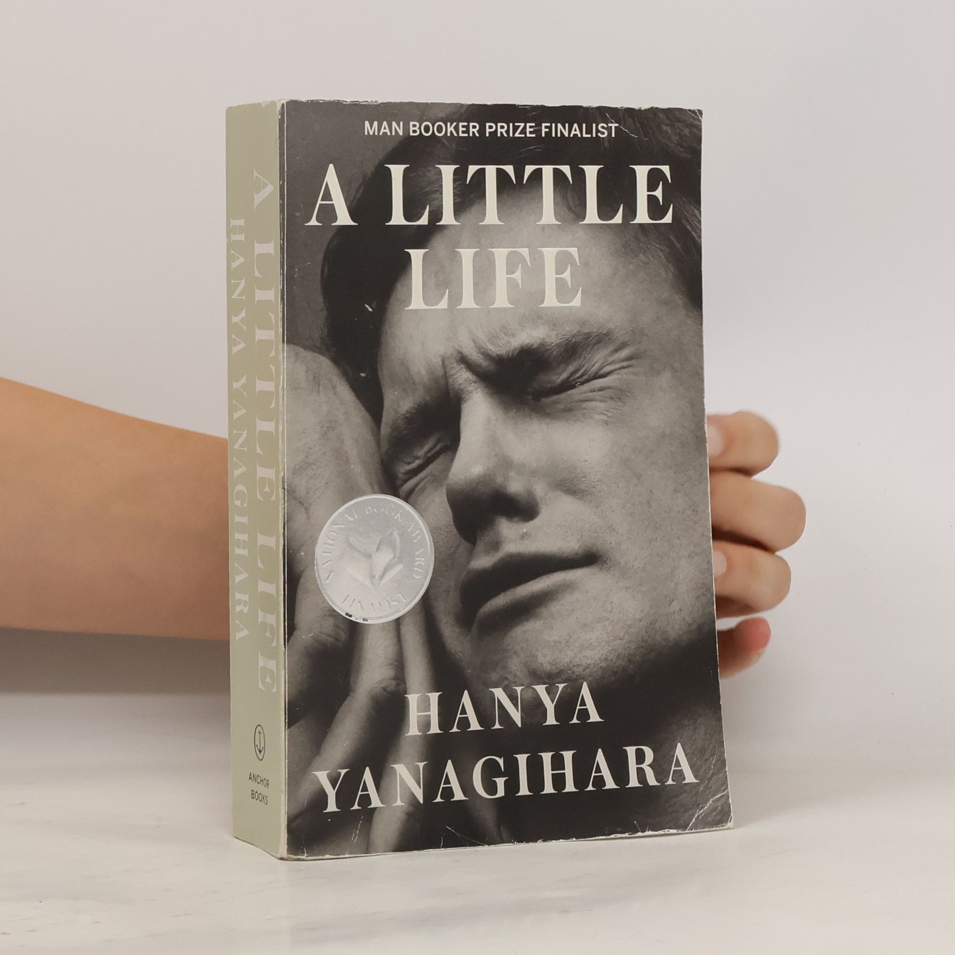 Hanya Yanagihara A Little Life