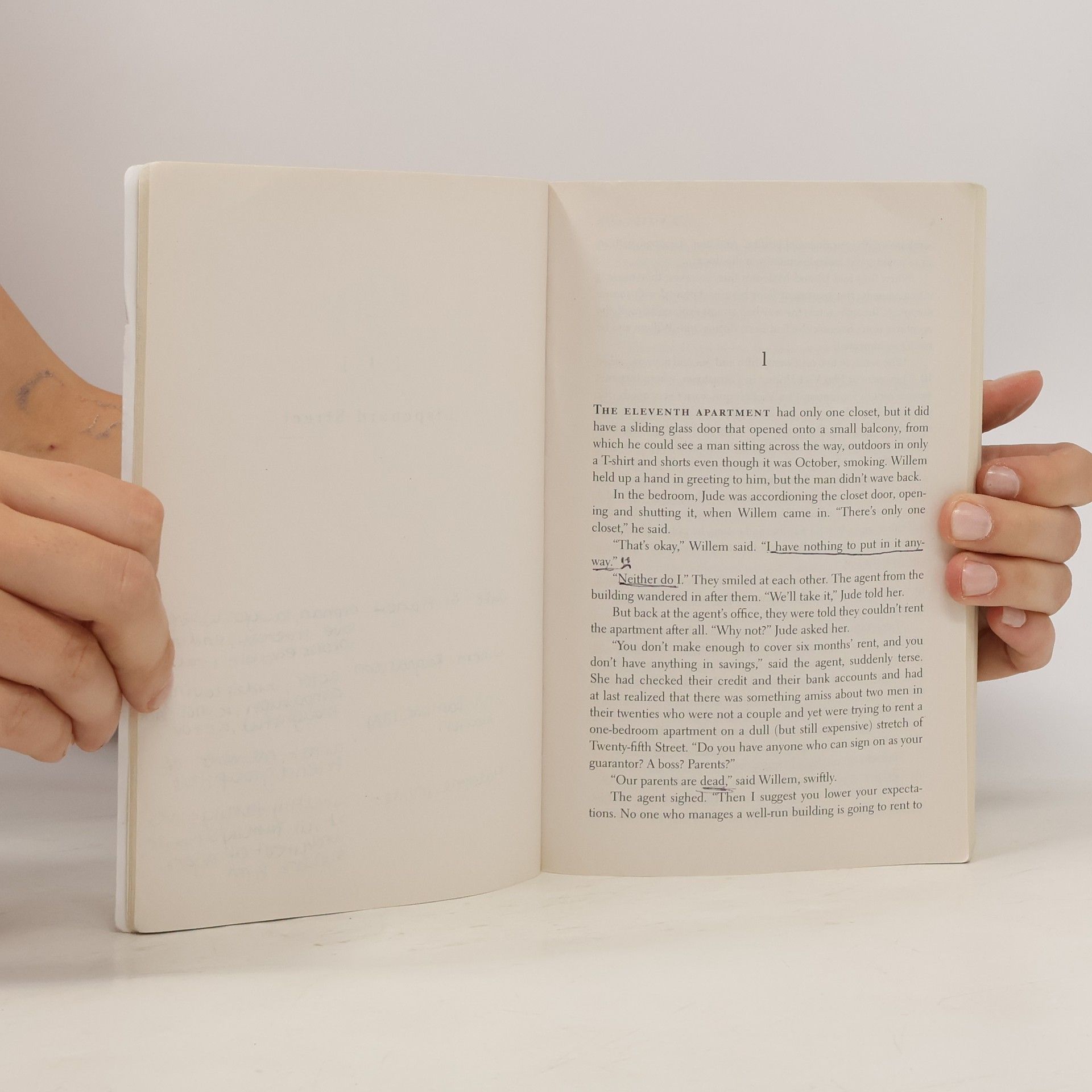 Hanya Yanagihara A Little Life