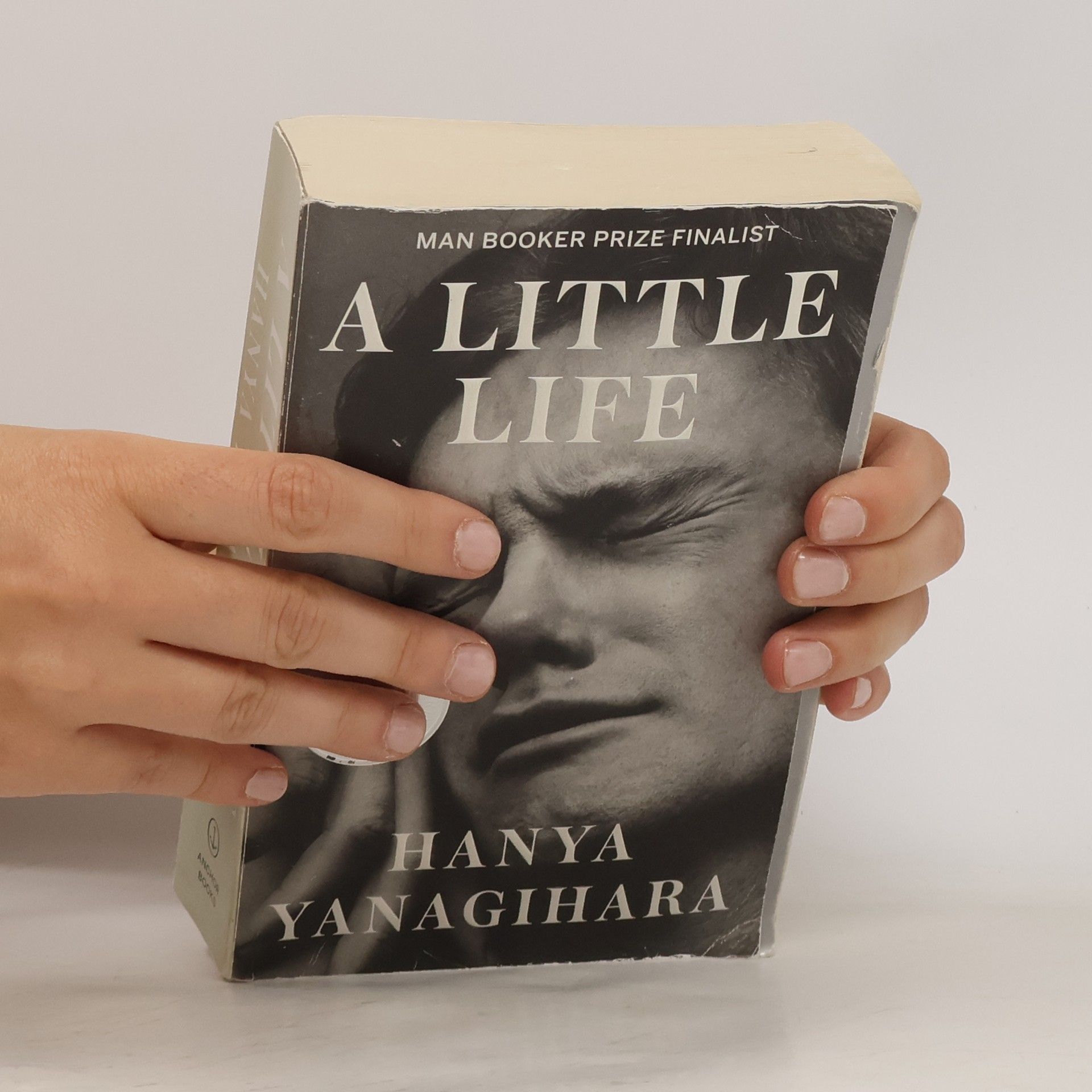 Hanya Yanagihara A Little Life