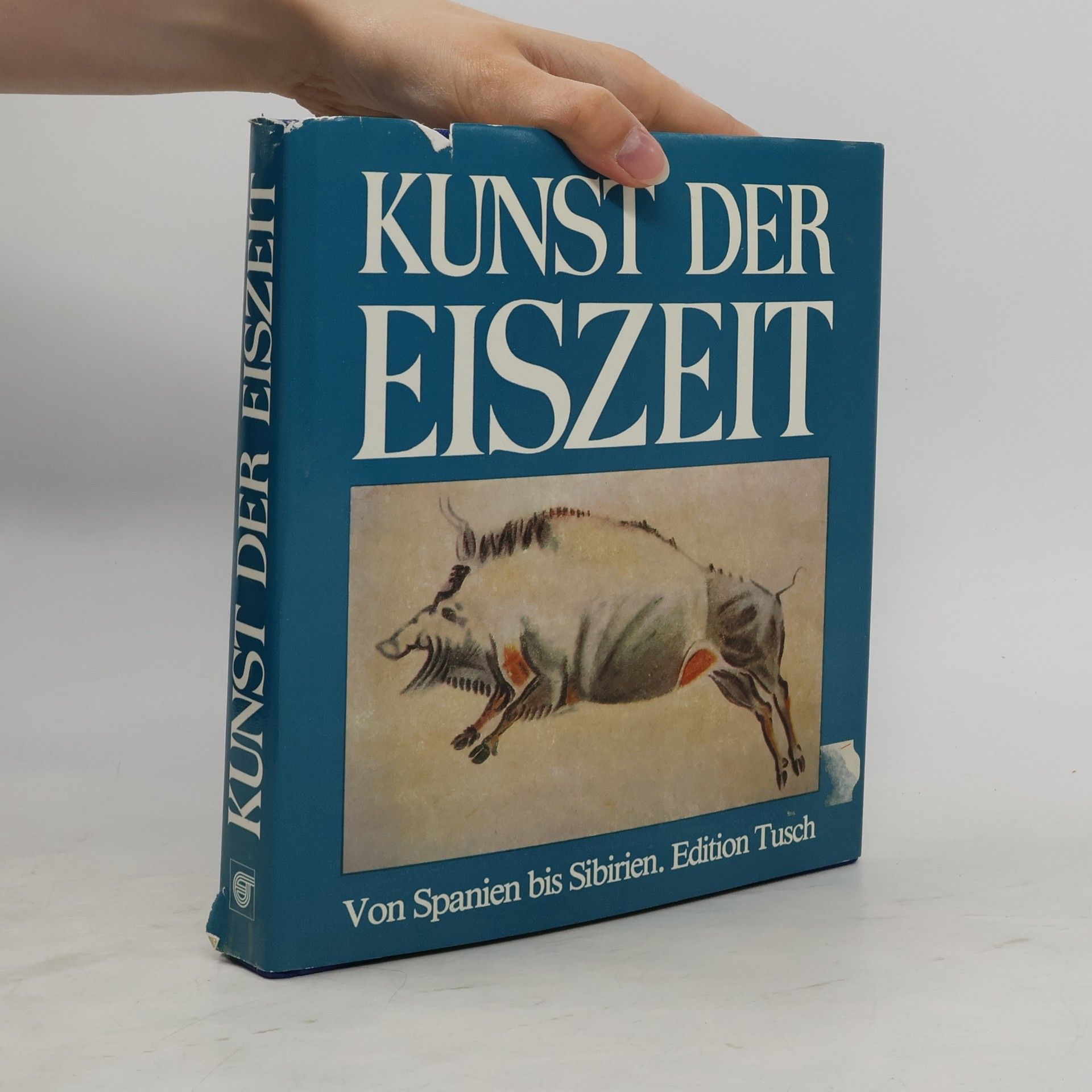 Rudolf Drößler Kunst der Eiszeit