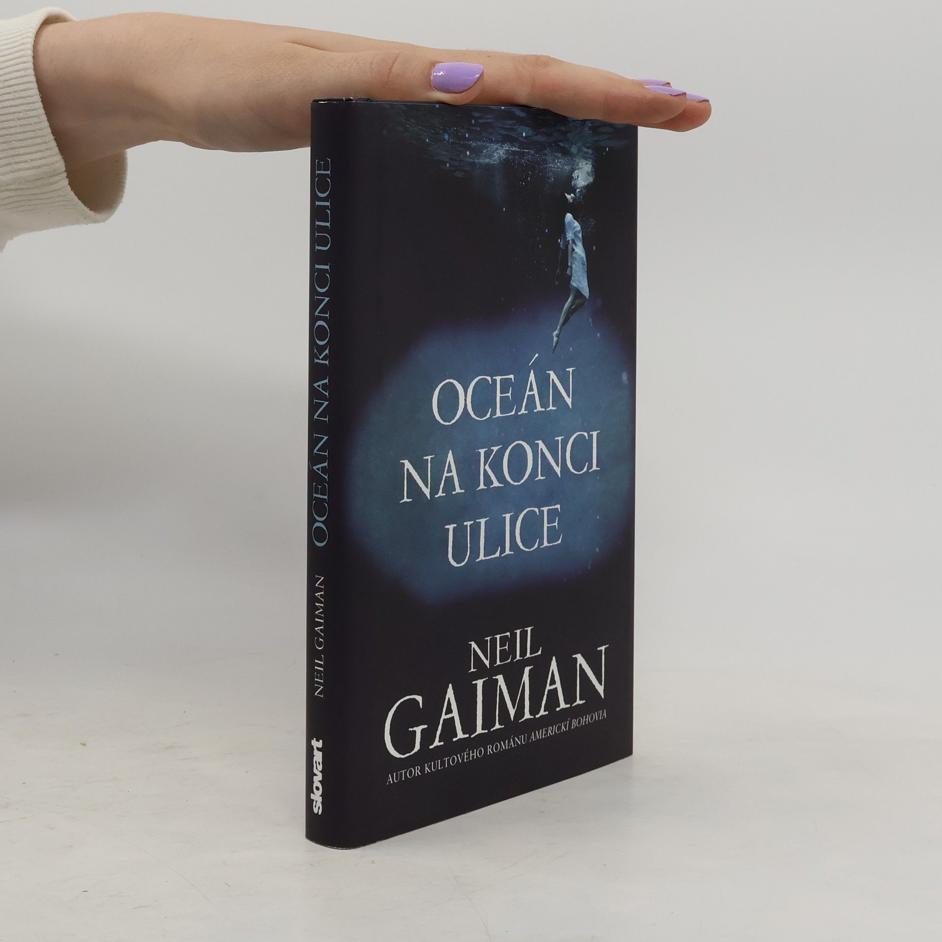 Neil Gaiman Oceán na konci ulice