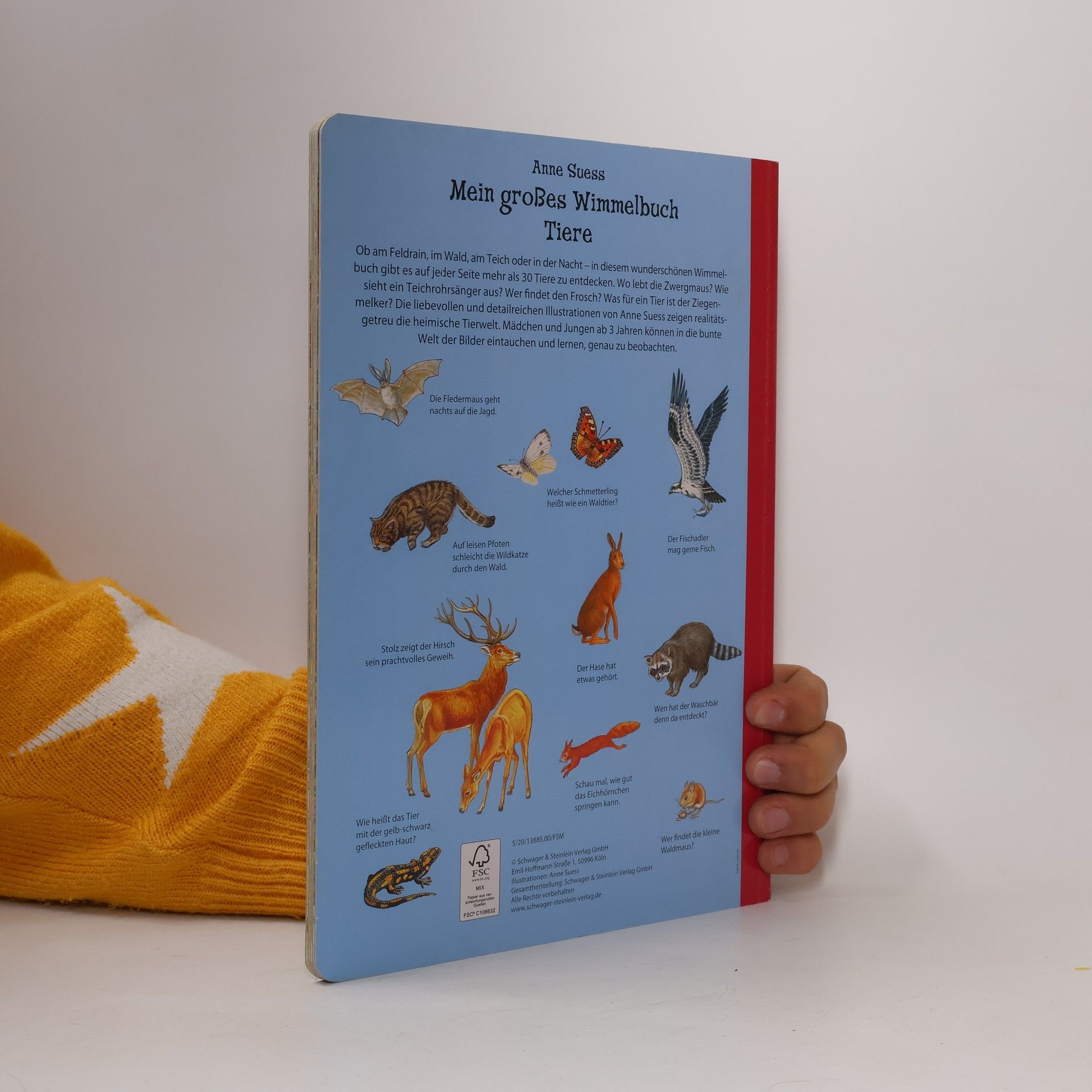 Anne Suess Mein grosses Wimmelbuch Tiere