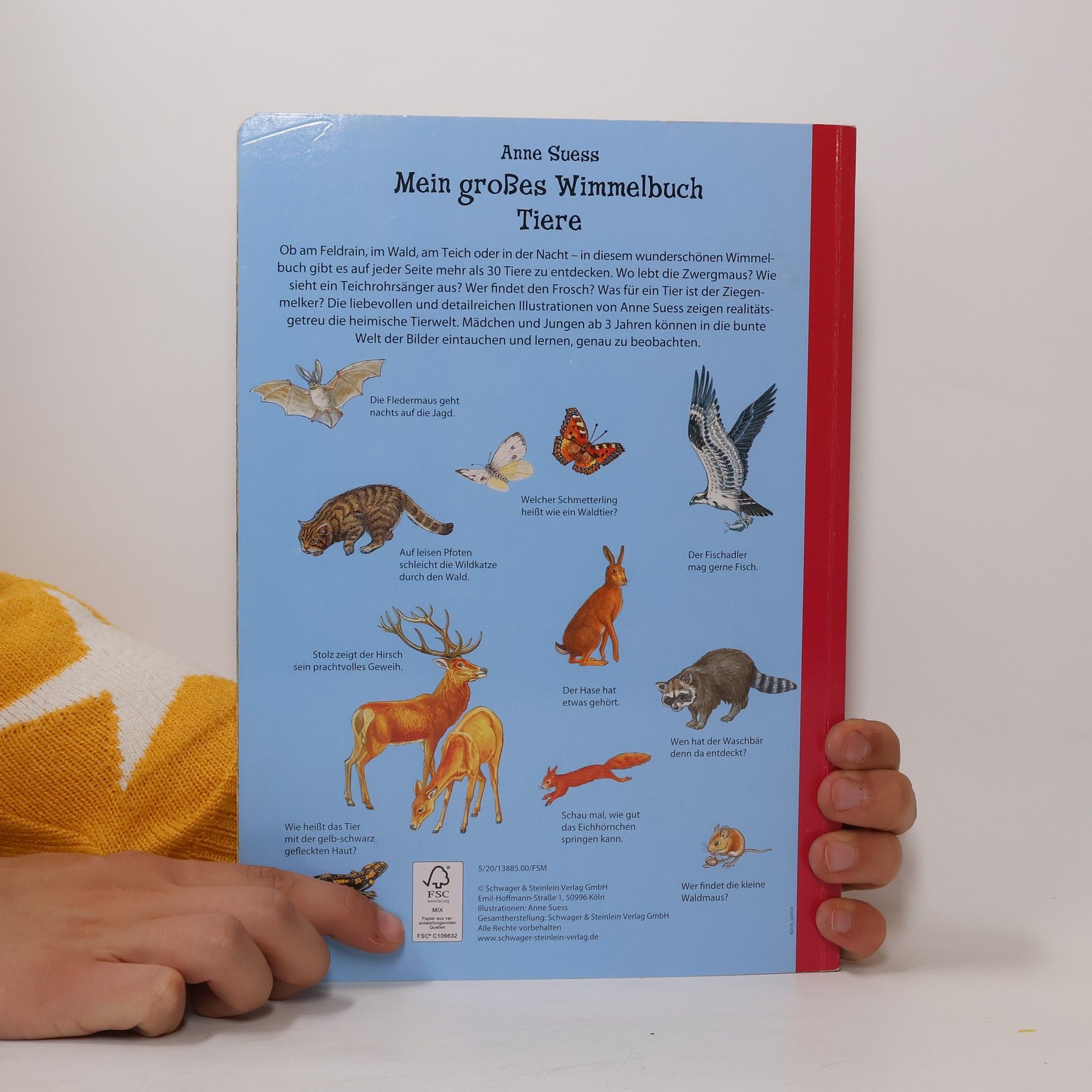 Anne Suess Mein grosses Wimmelbuch Tiere