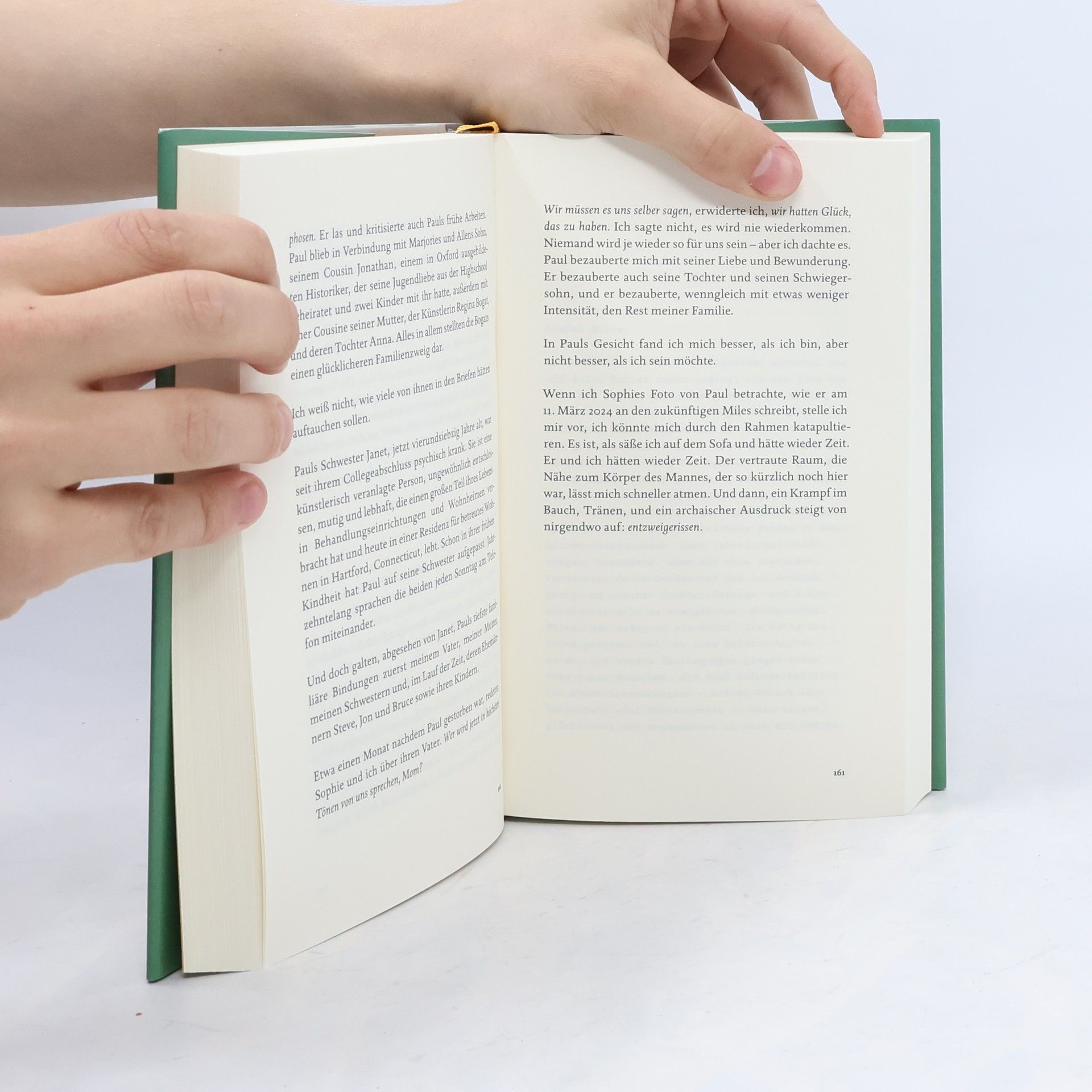 Siri Hustvedt Ghost Stories
