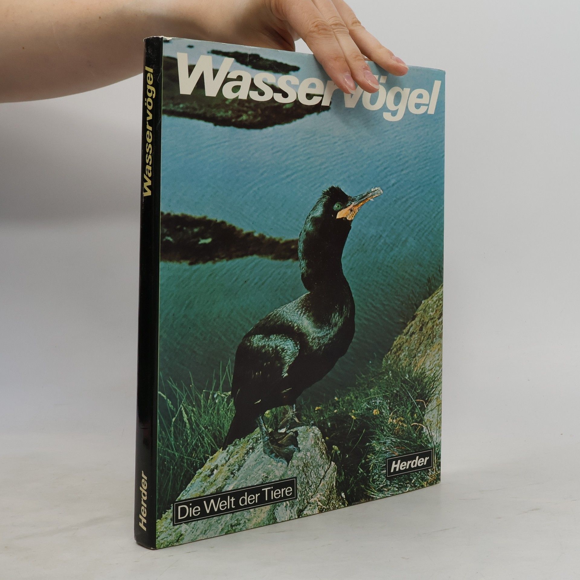Lino Penati Wasservögel