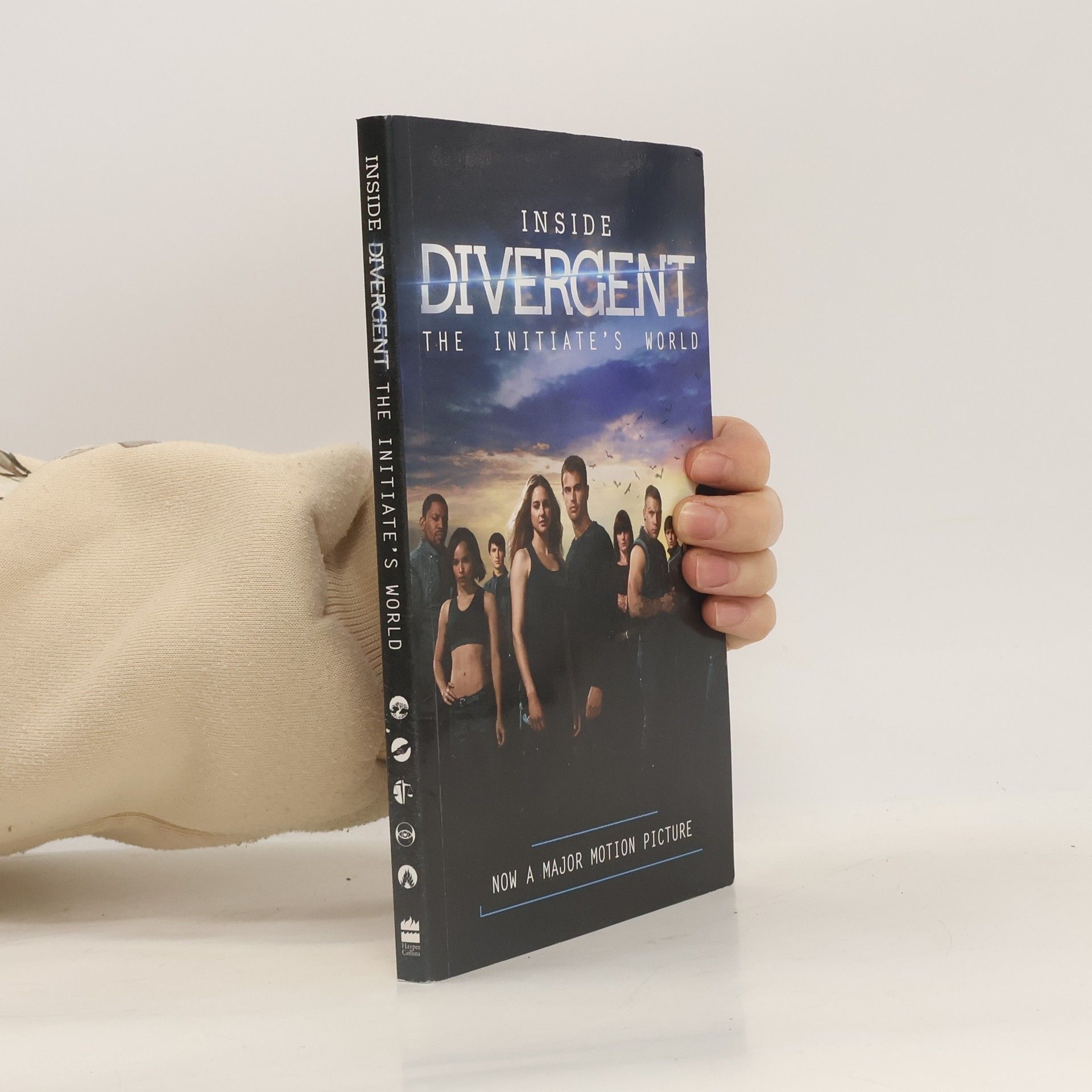 Cecilia Bernard Inside Divergent